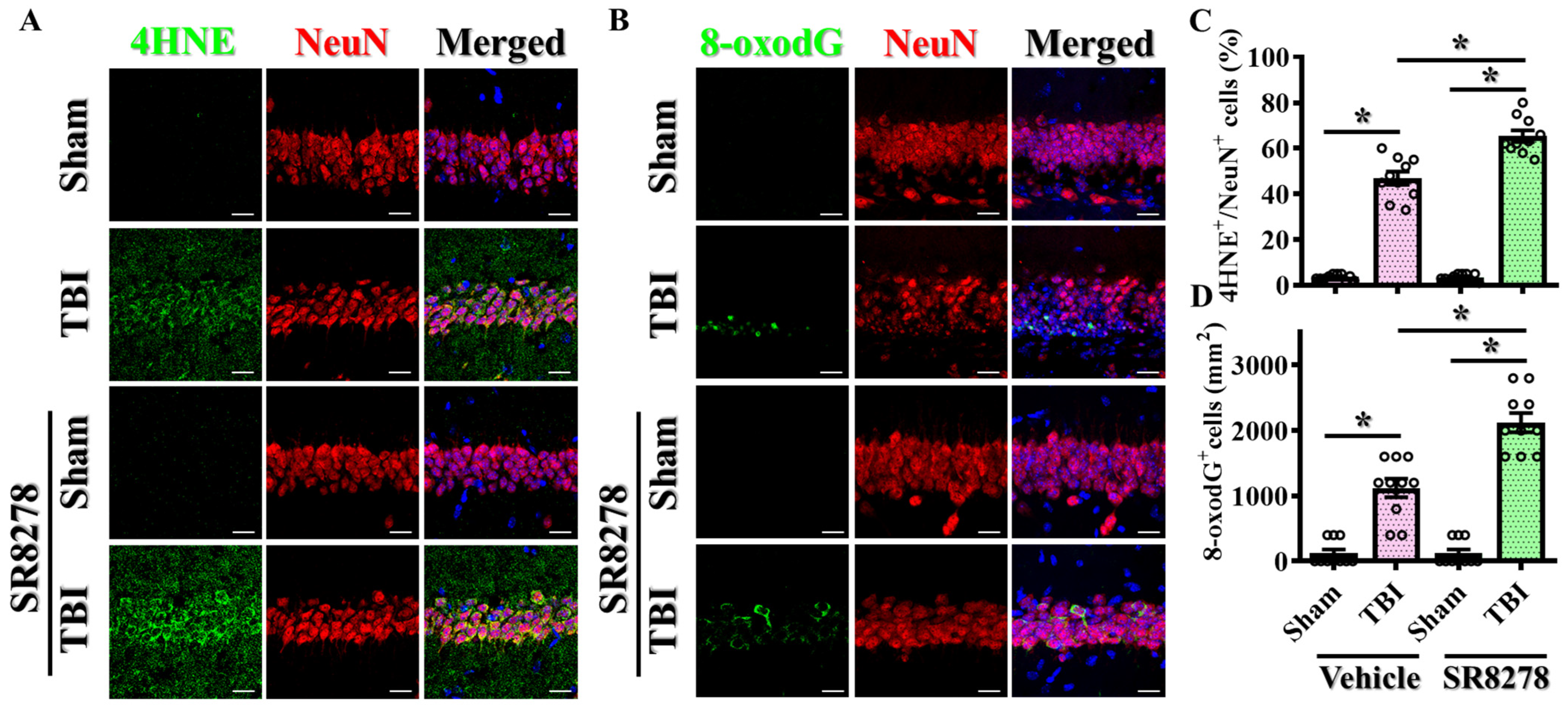Antioxidants 13 00901 g007