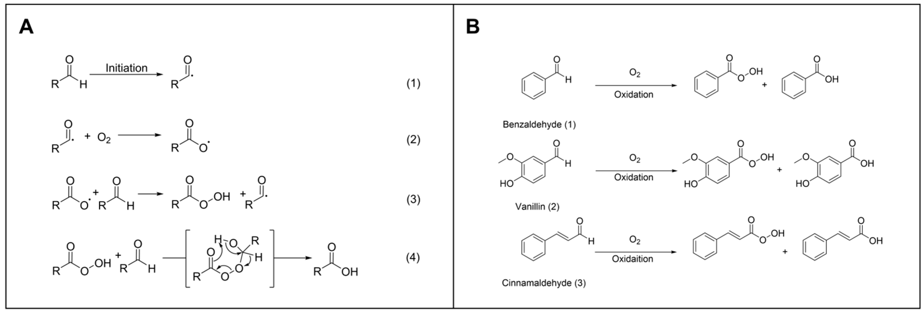 Antioxidants 13 00910 g003