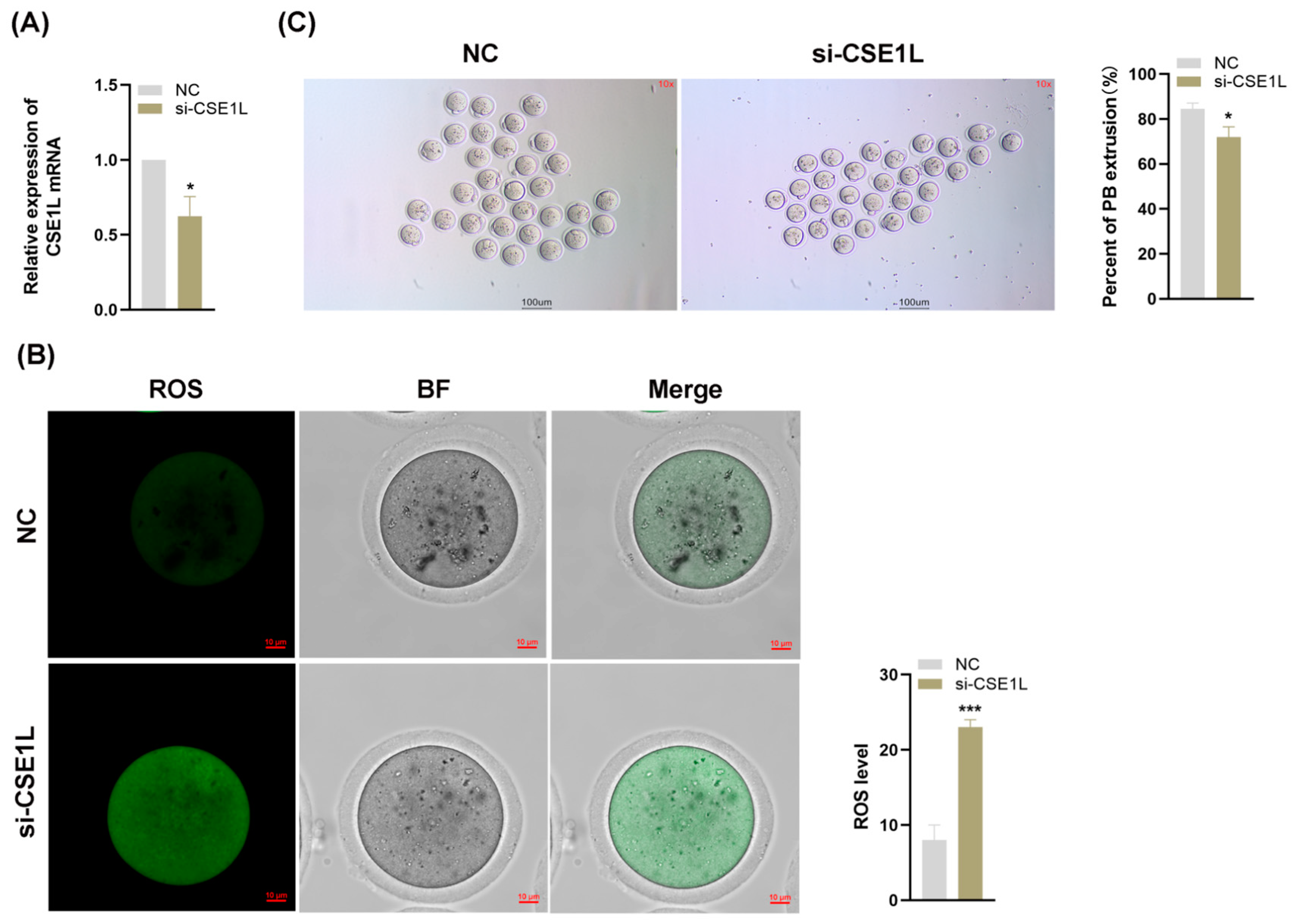 Antioxidants 13 00911 g009