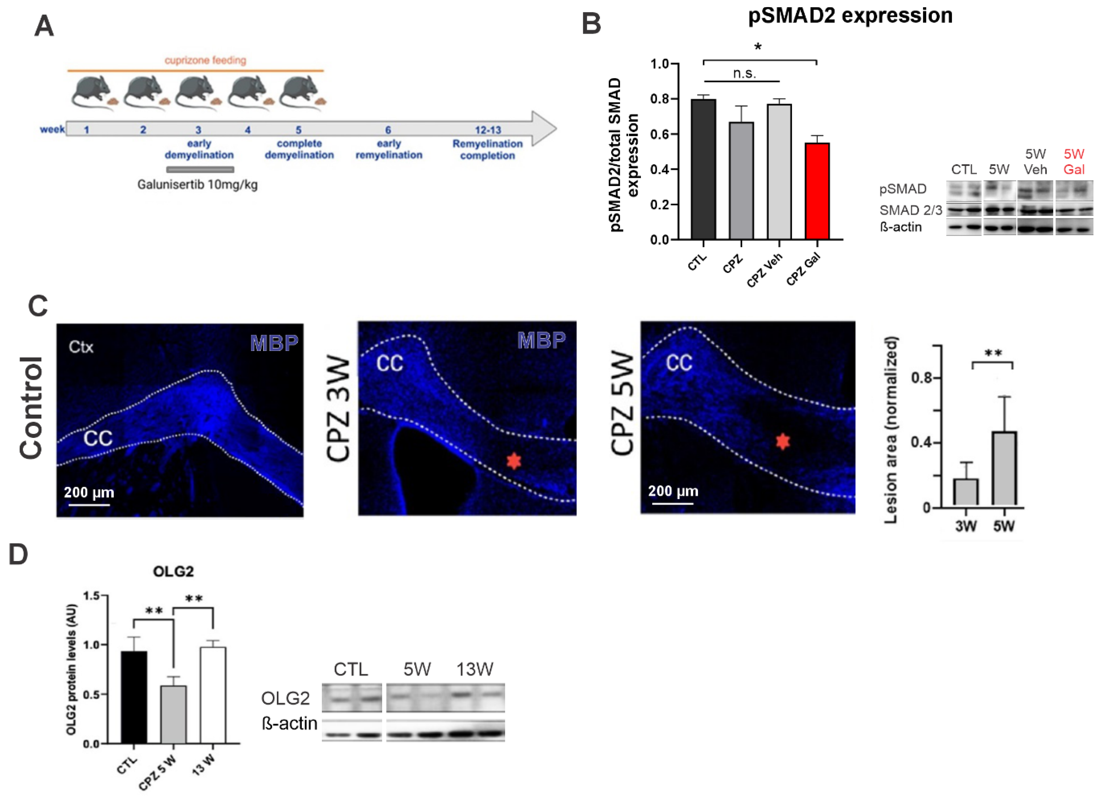 Antioxidants 13 00914 g001