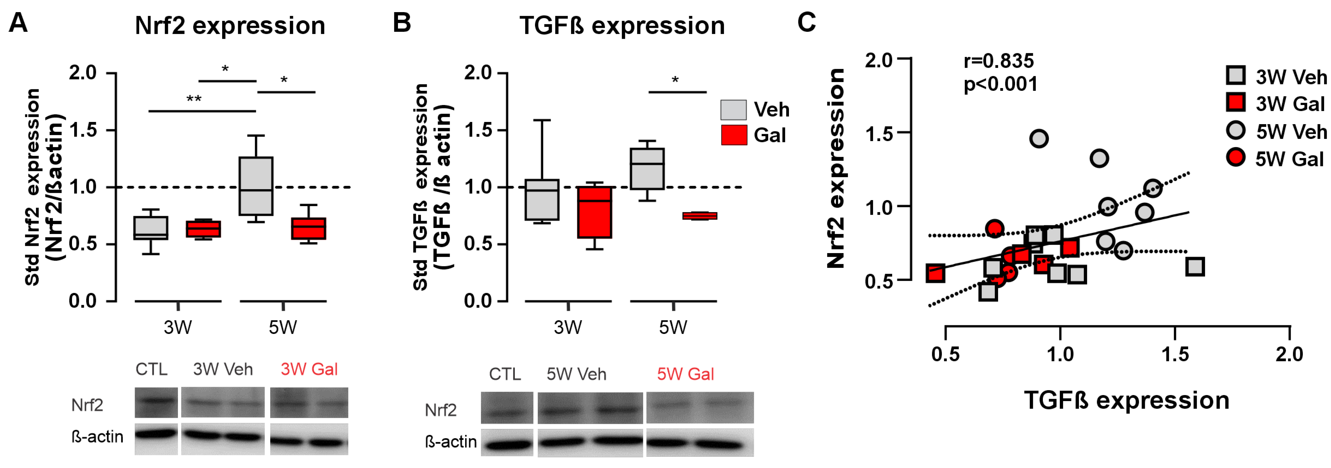 Antioxidants 13 00914 g002