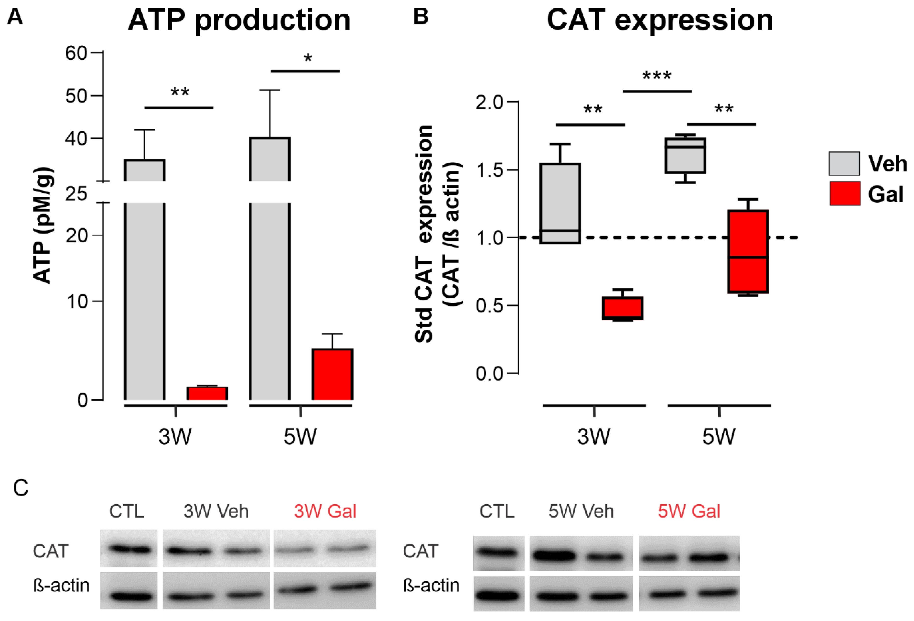 Antioxidants 13 00914 g003