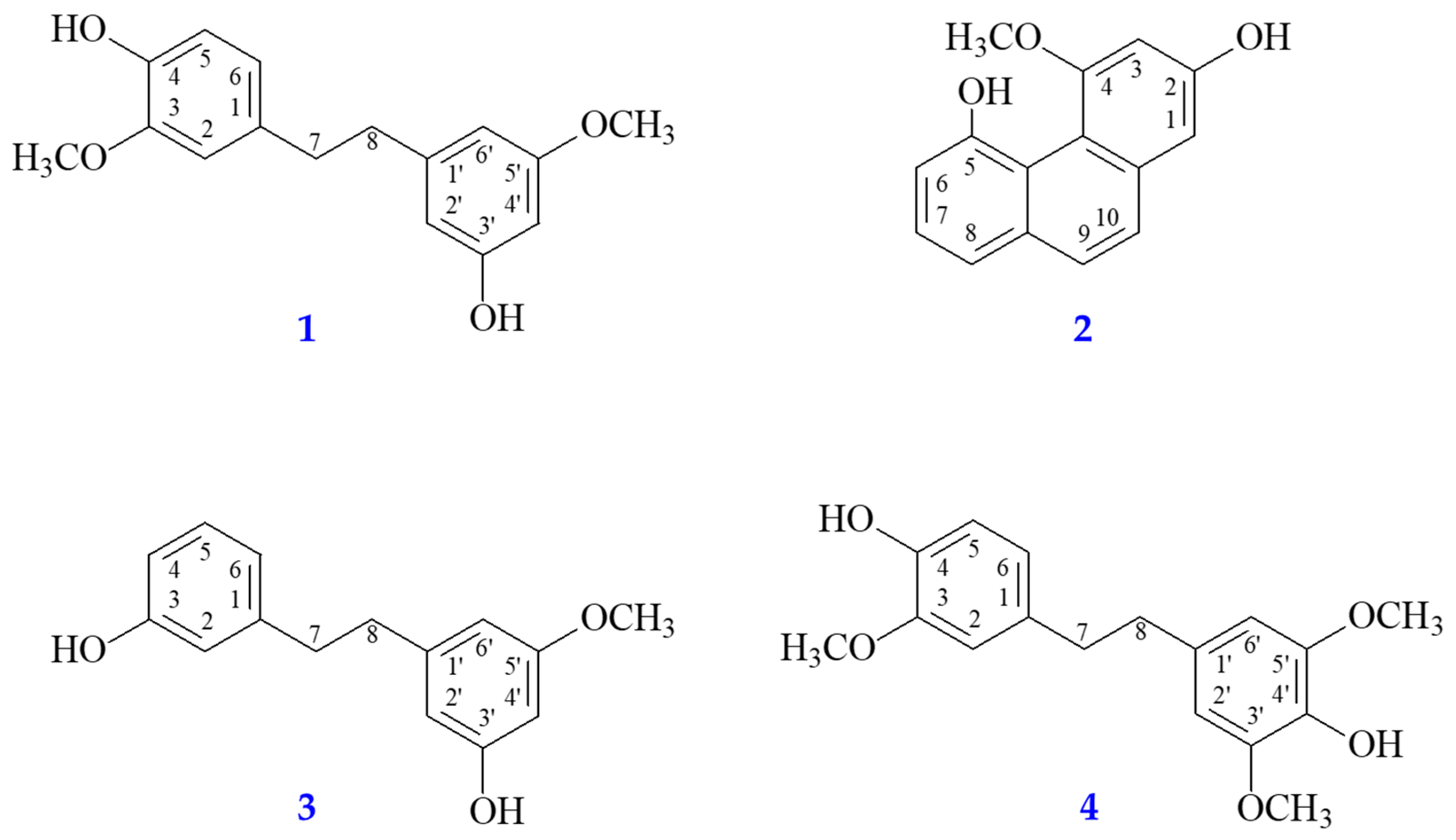 Antioxidants 13 00918 g002