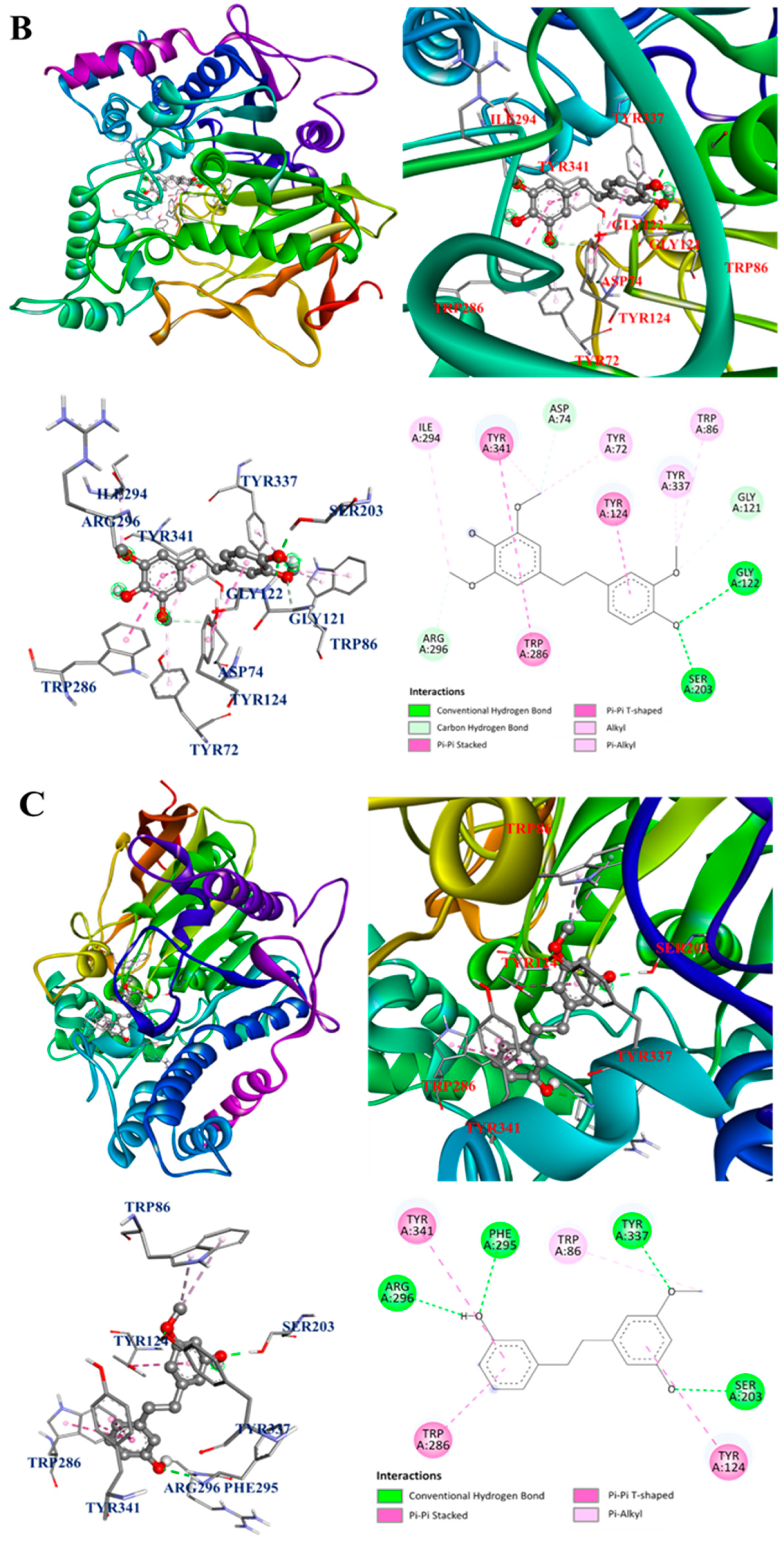 Antioxidants 13 00918 g005b