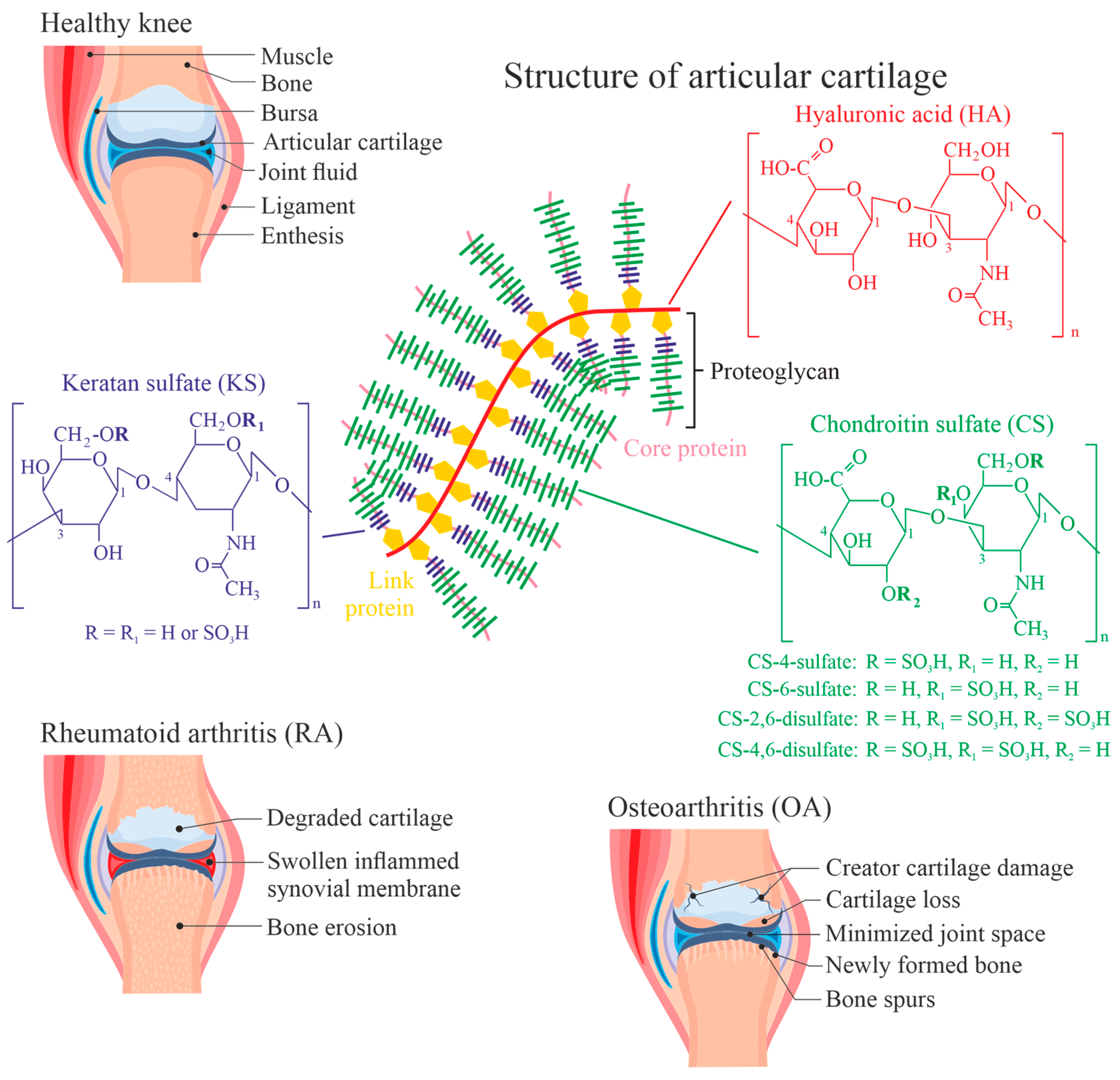 Antioxidants 13 00921 g001