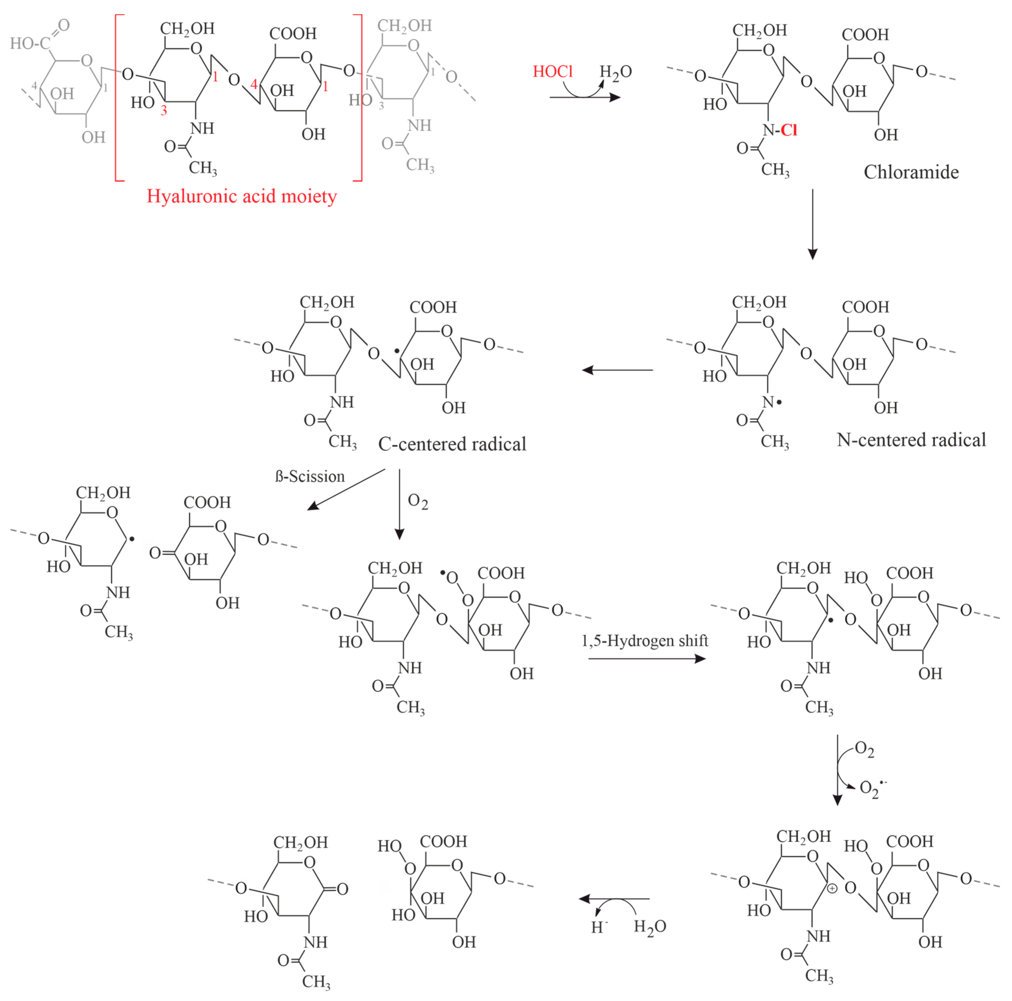 Antioxidants 13 00921 g007