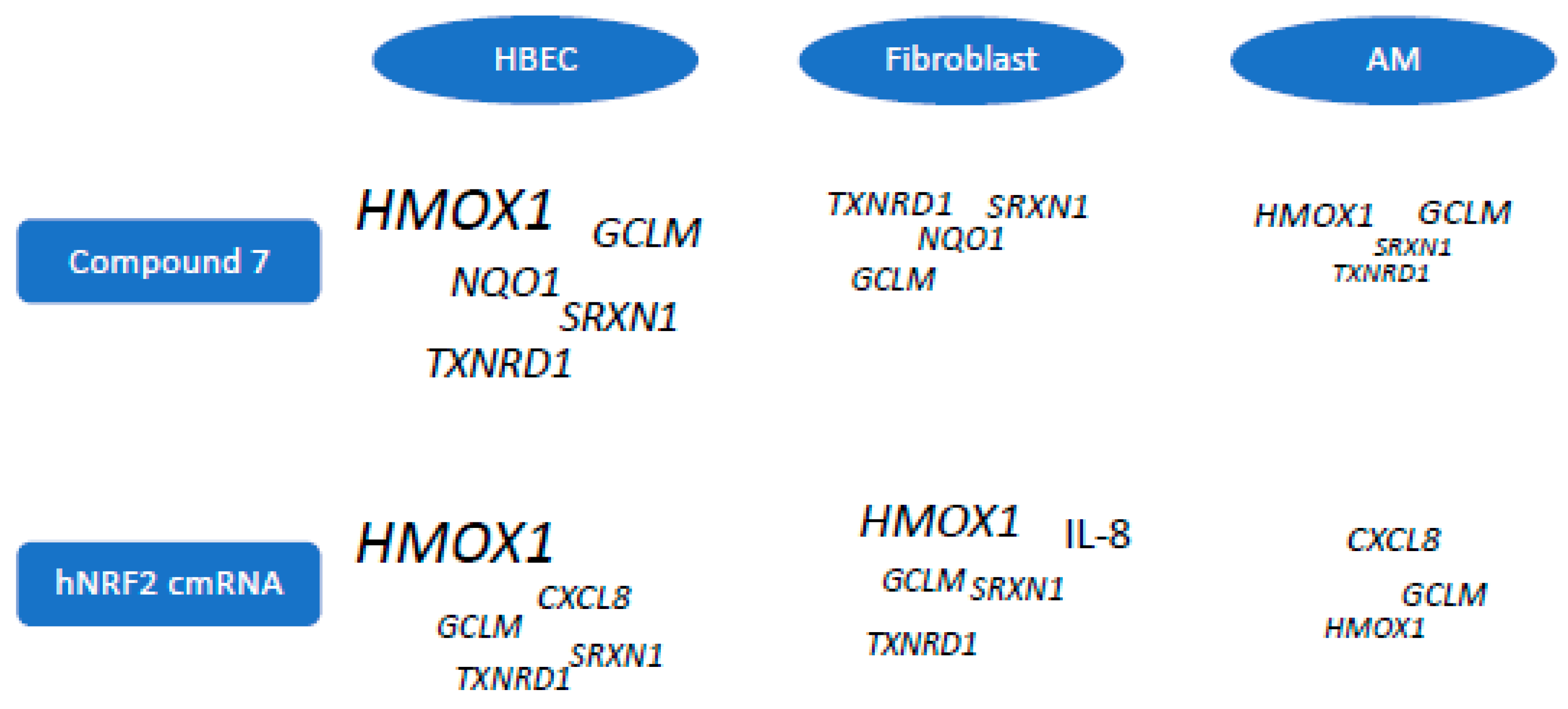 Antioxidants 13 00924 g007