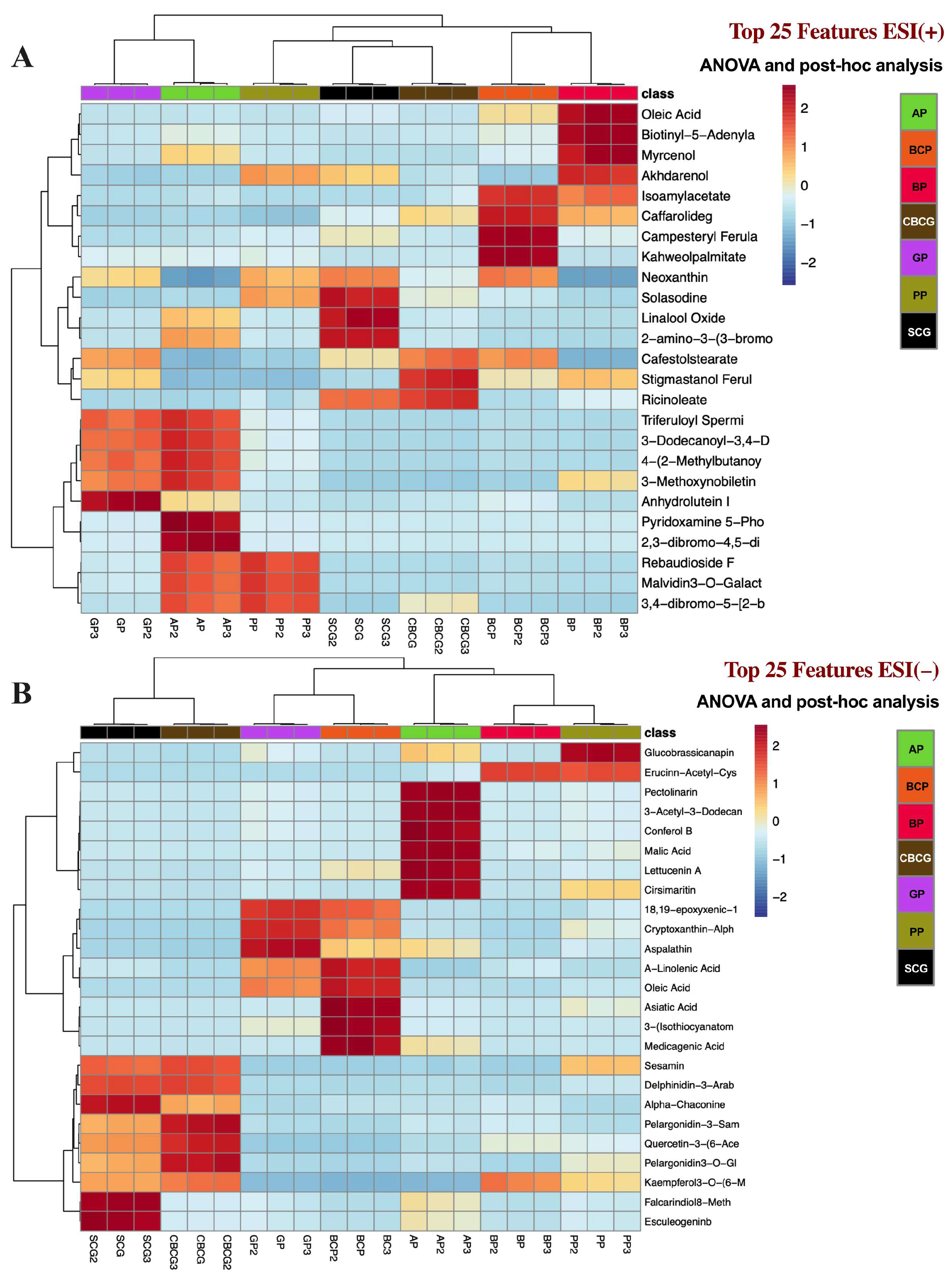 Antioxidants 13 00925 g005