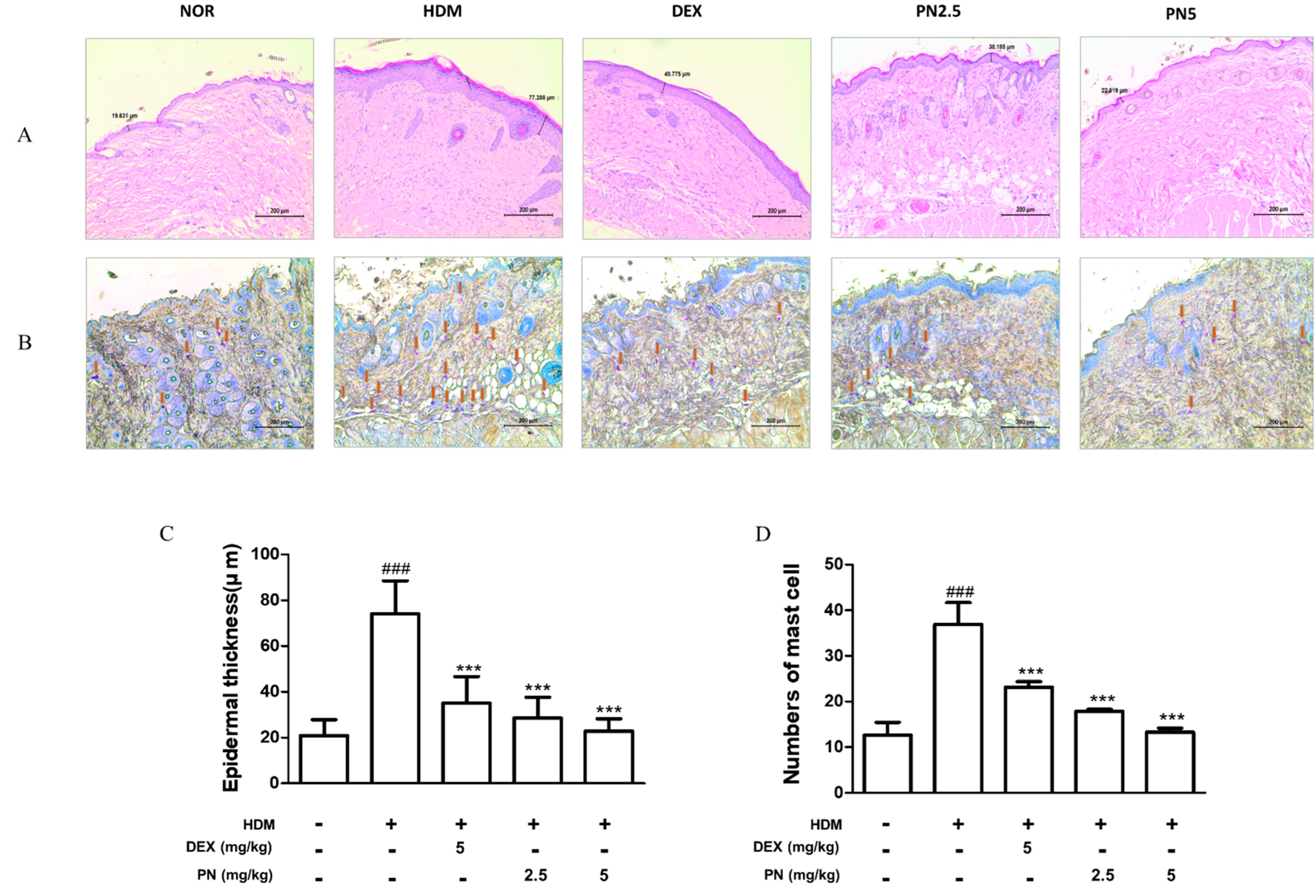 Antioxidants 13 00928 g002