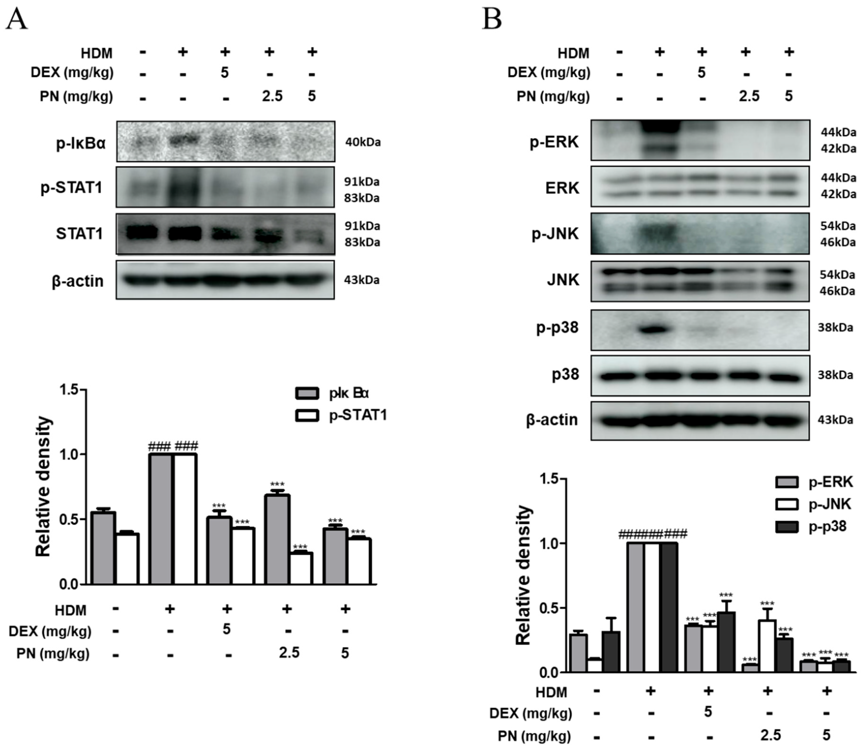 Antioxidants 13 00928 g004