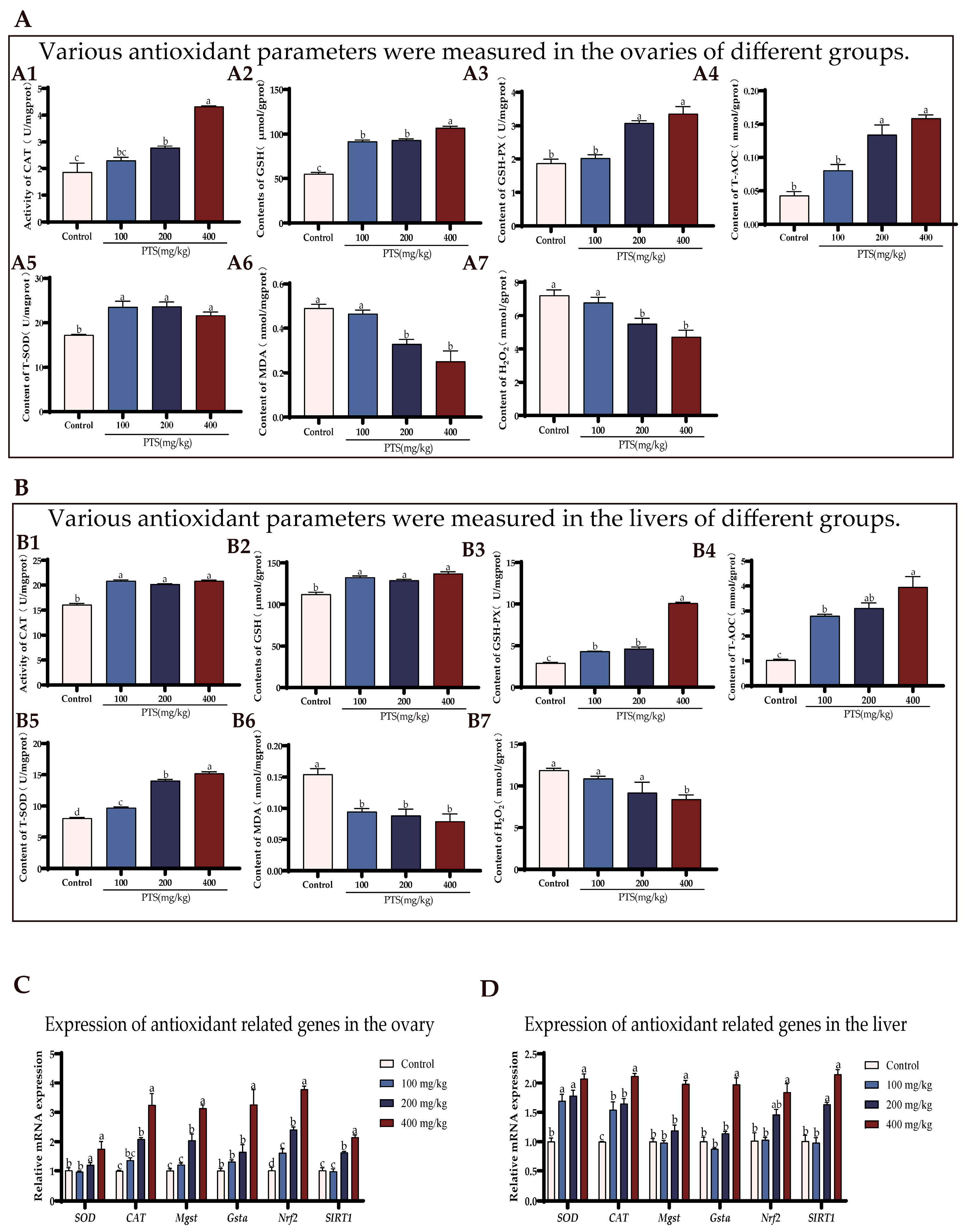 Antioxidants 13 00935 g003