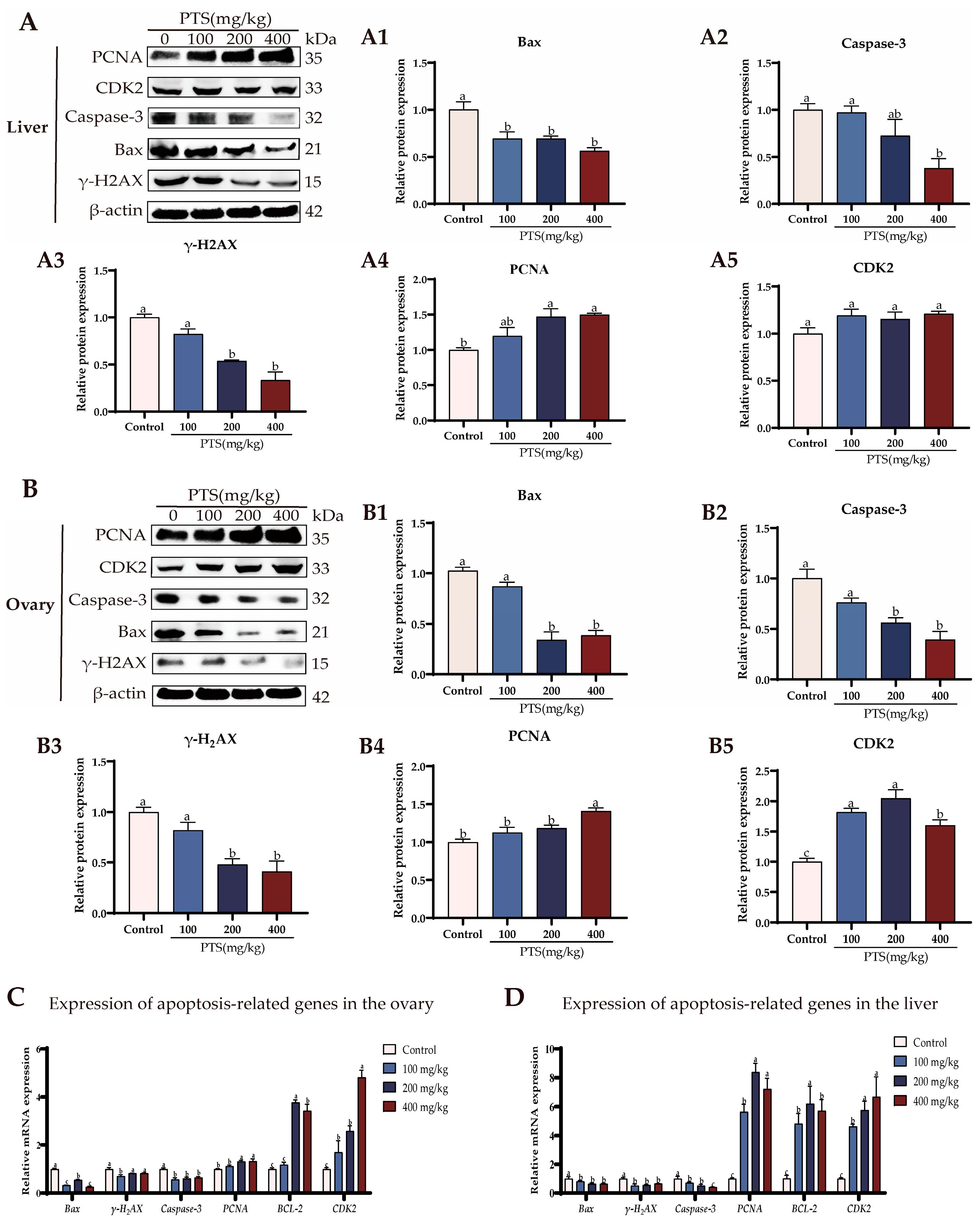 Antioxidants 13 00935 g004