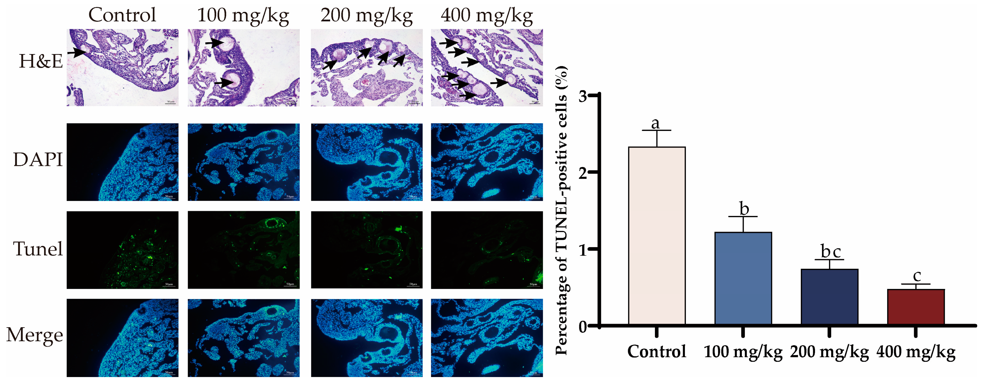Antioxidants 13 00935 g005