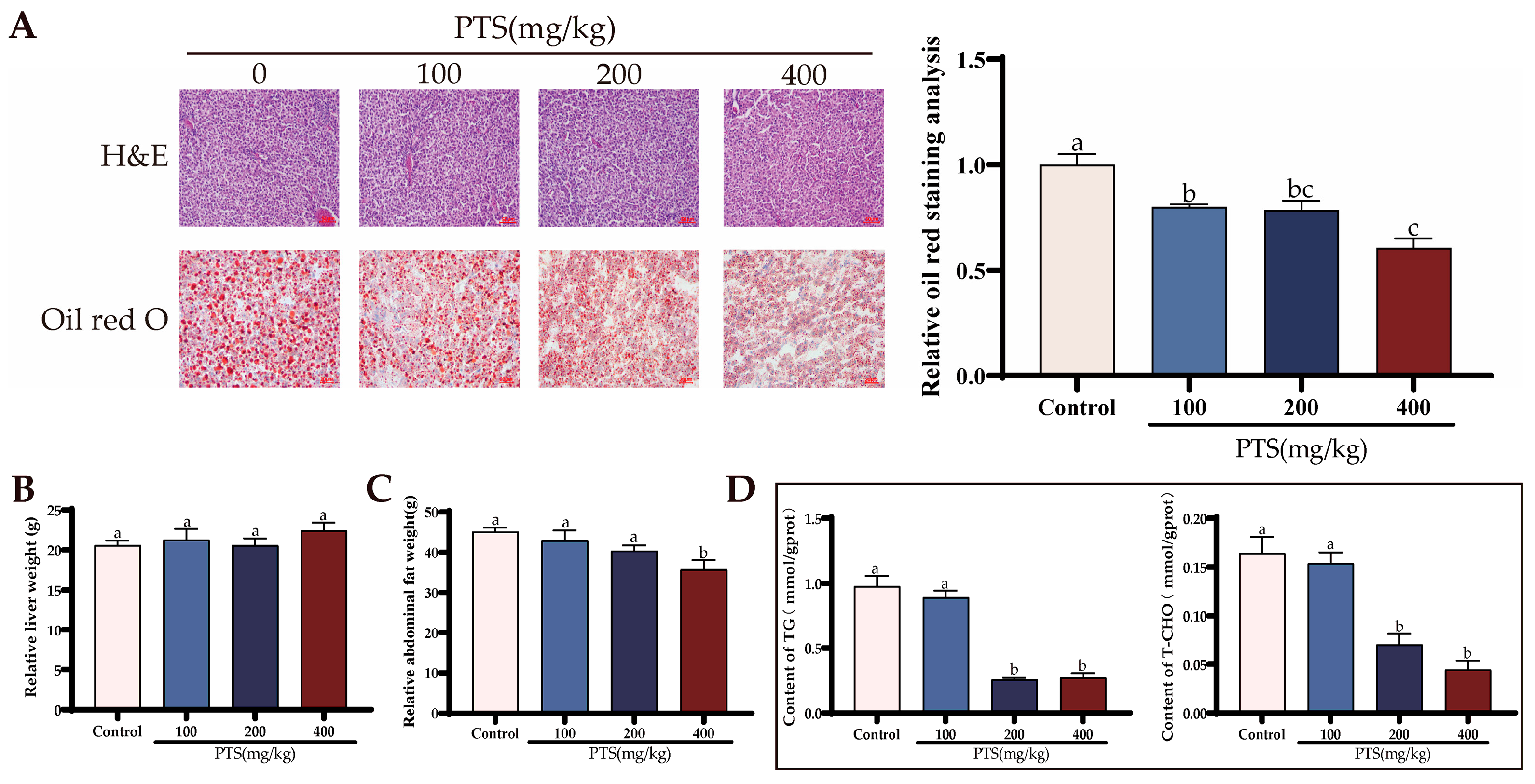 Antioxidants 13 00935 g006