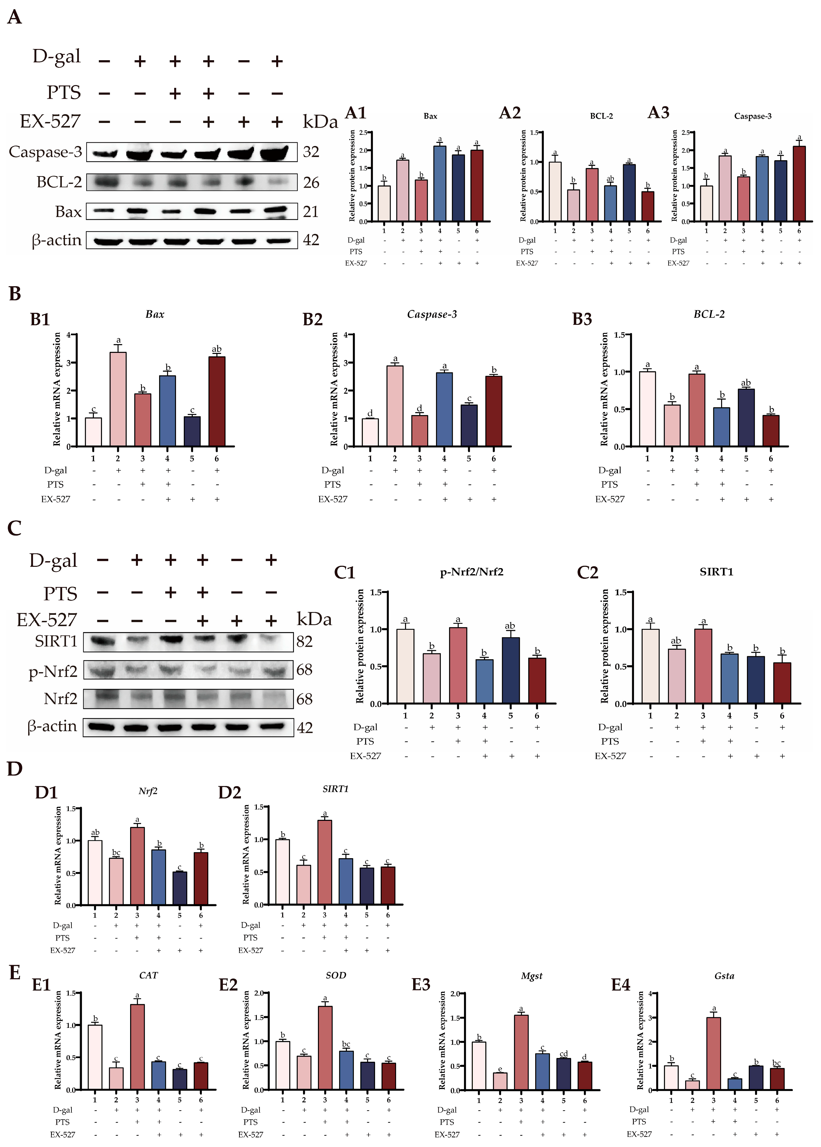 Antioxidants 13 00935 g010