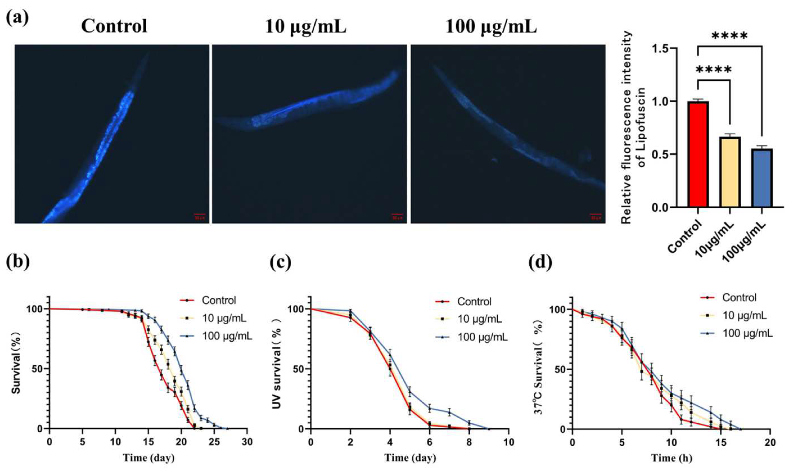 Antioxidants 13 00945 g003