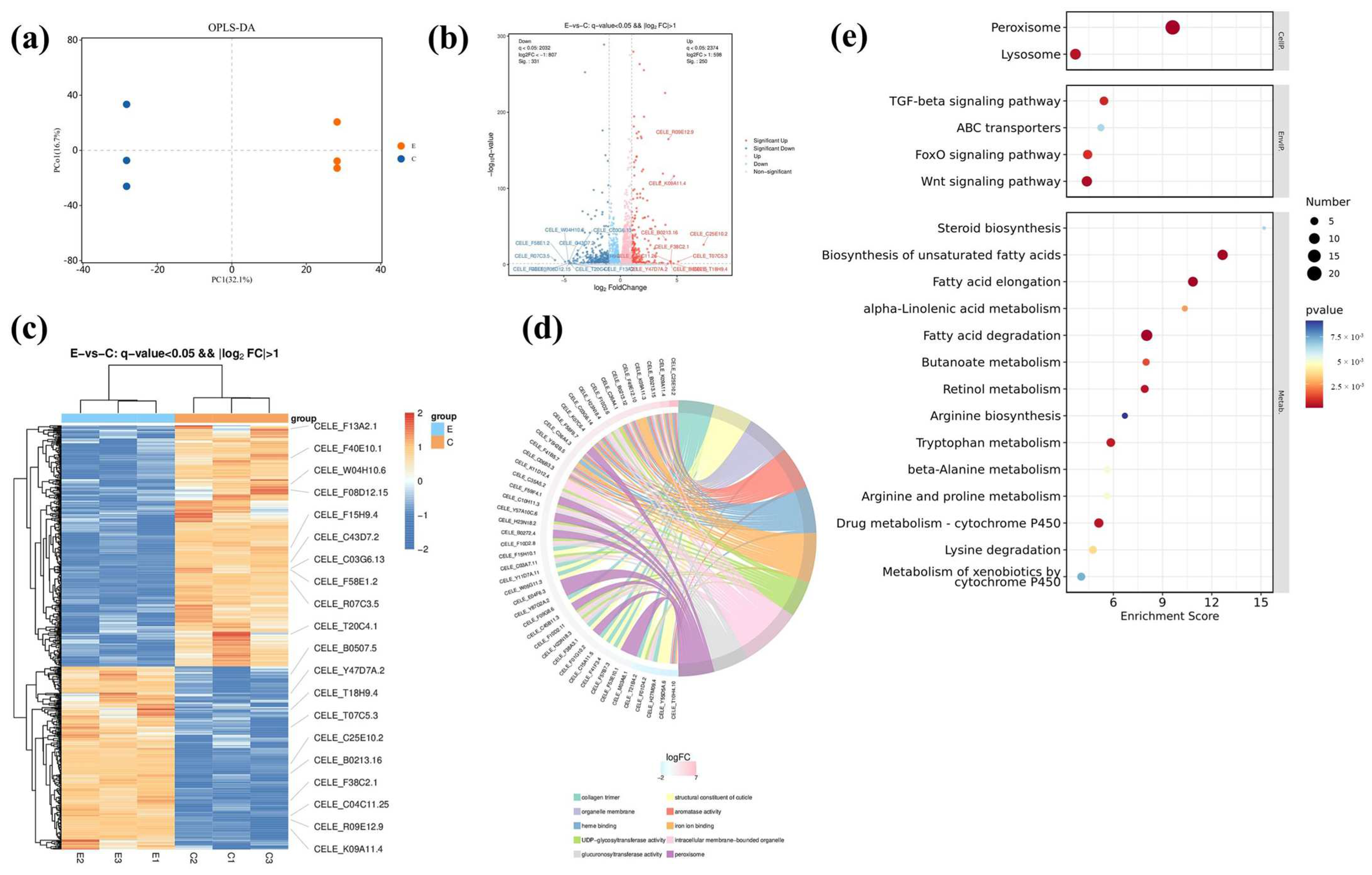 Antioxidants 13 00945 g005