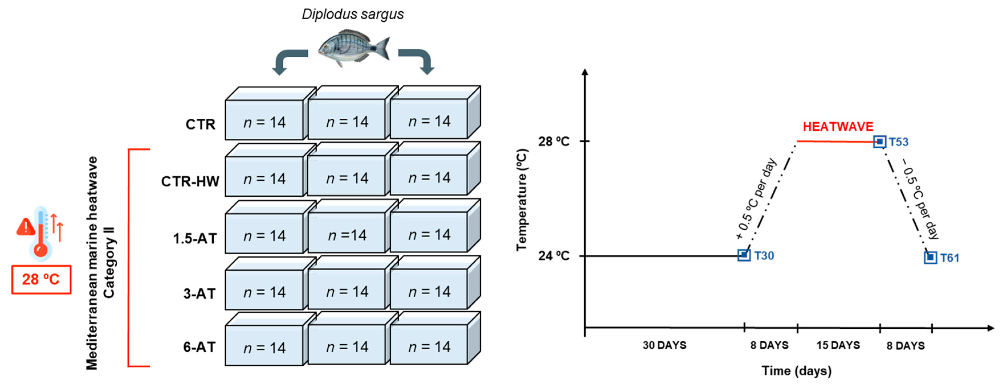 Antioxidants 13 00949 g001