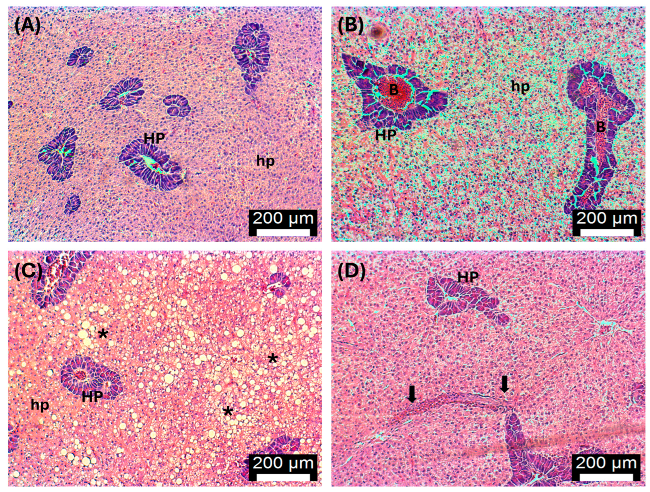 Antioxidants 13 00949 g007