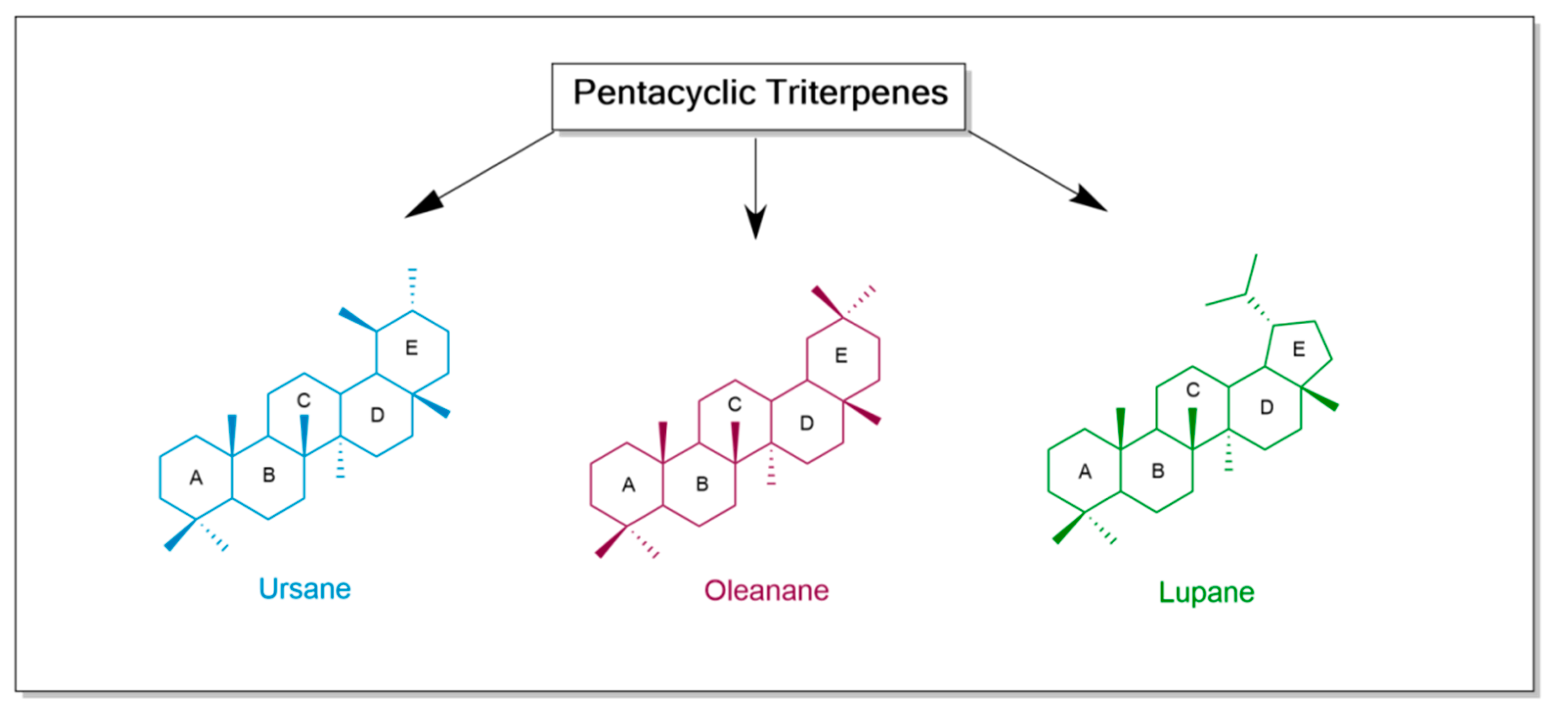 Antioxidants 13 00952 g001 Antioxidants 13 00952 g001