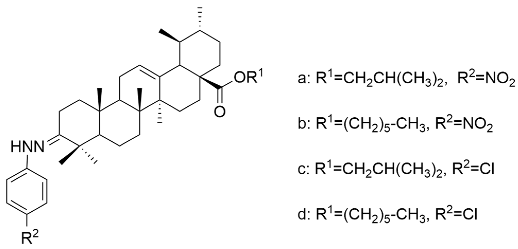 Antioxidants 13 00952 g004 Antioxidants 13 00952 g004