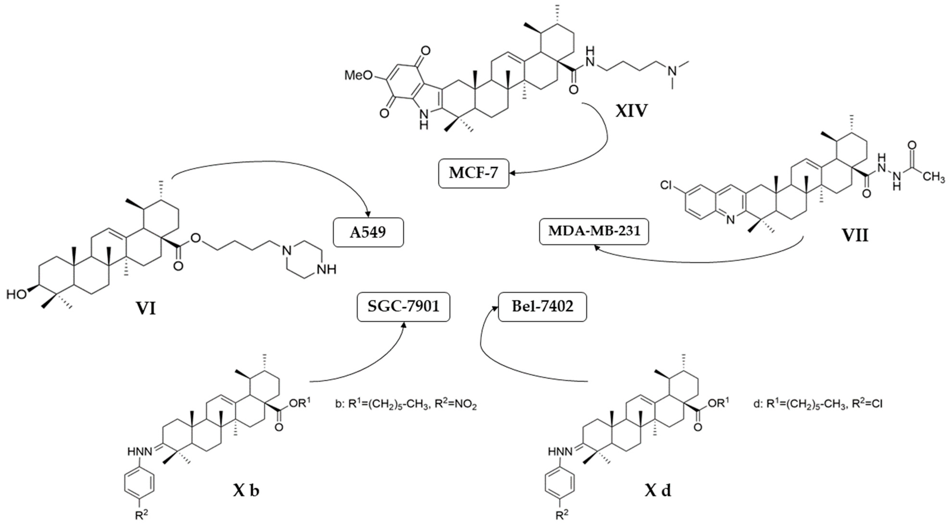 Antioxidants 13 00952 g007 Antioxidants 13 00952 g007