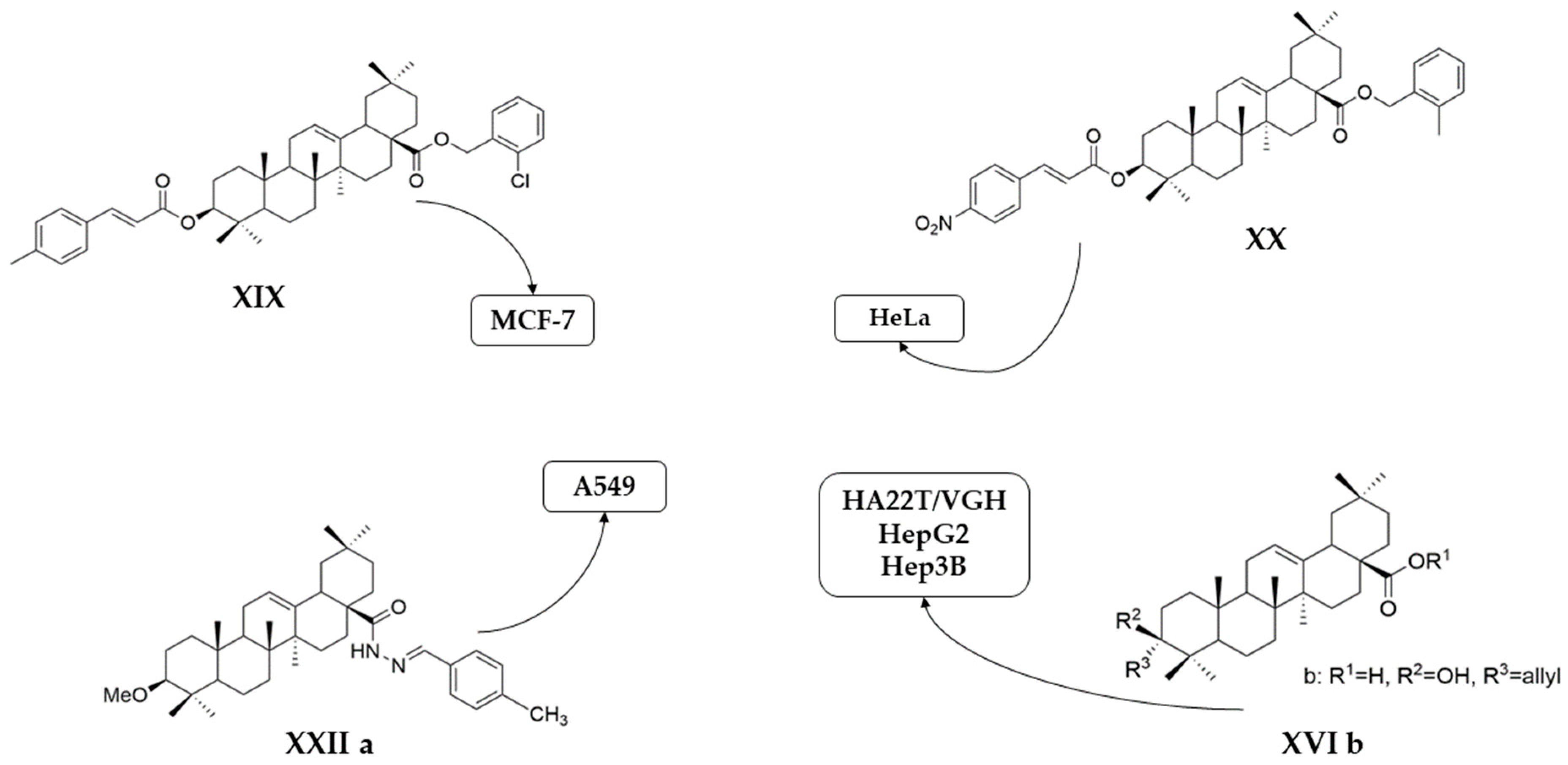 Antioxidants 13 00952 g015 Antioxidants 13 00952 g015