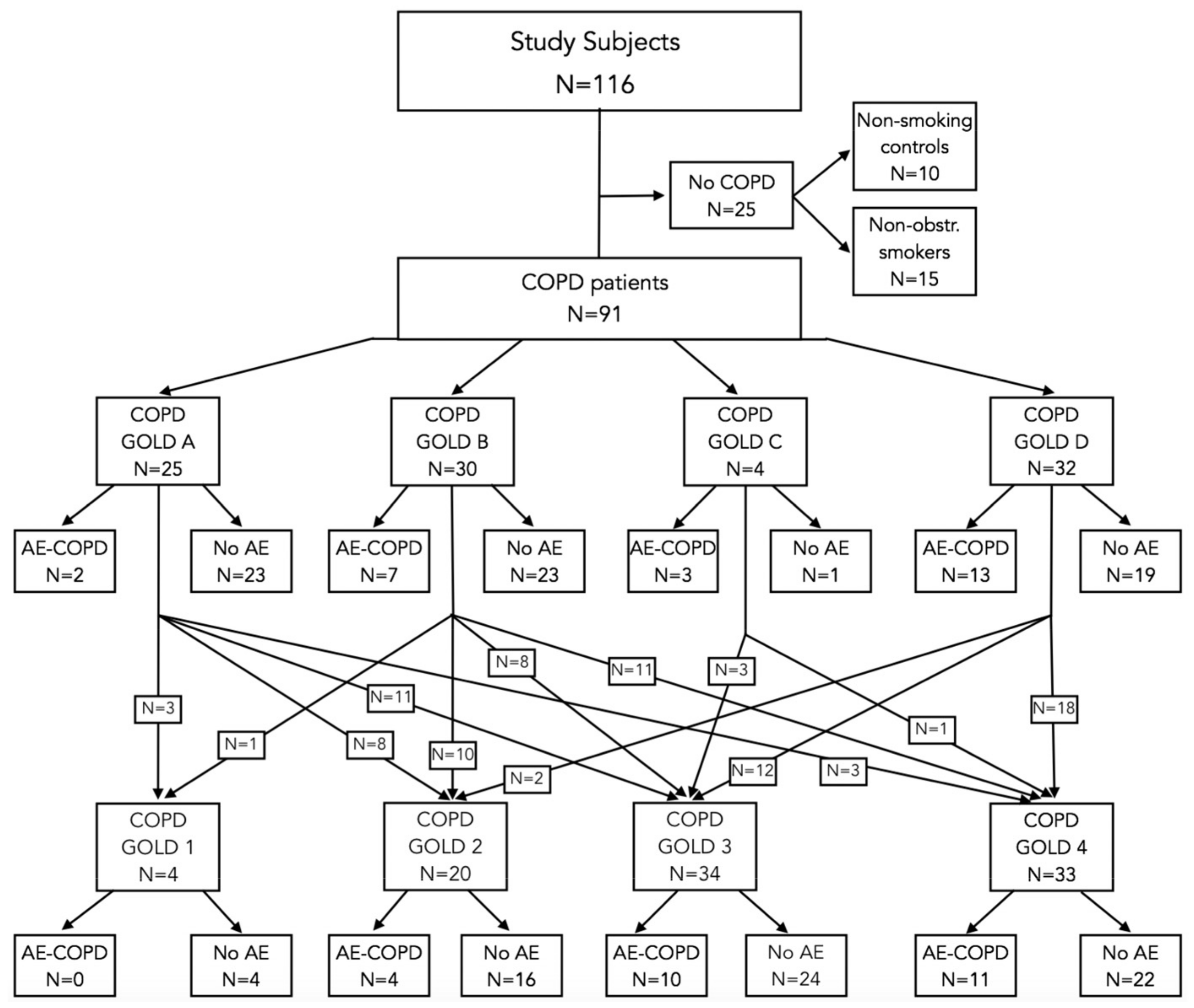 Antioxidants 13 00953 g001