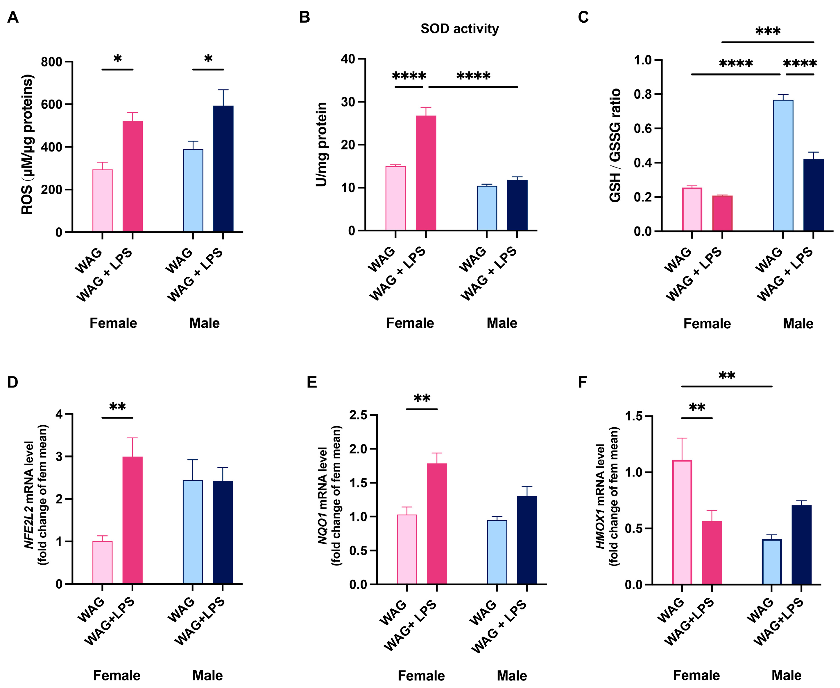 Antioxidants 13 00957 g006