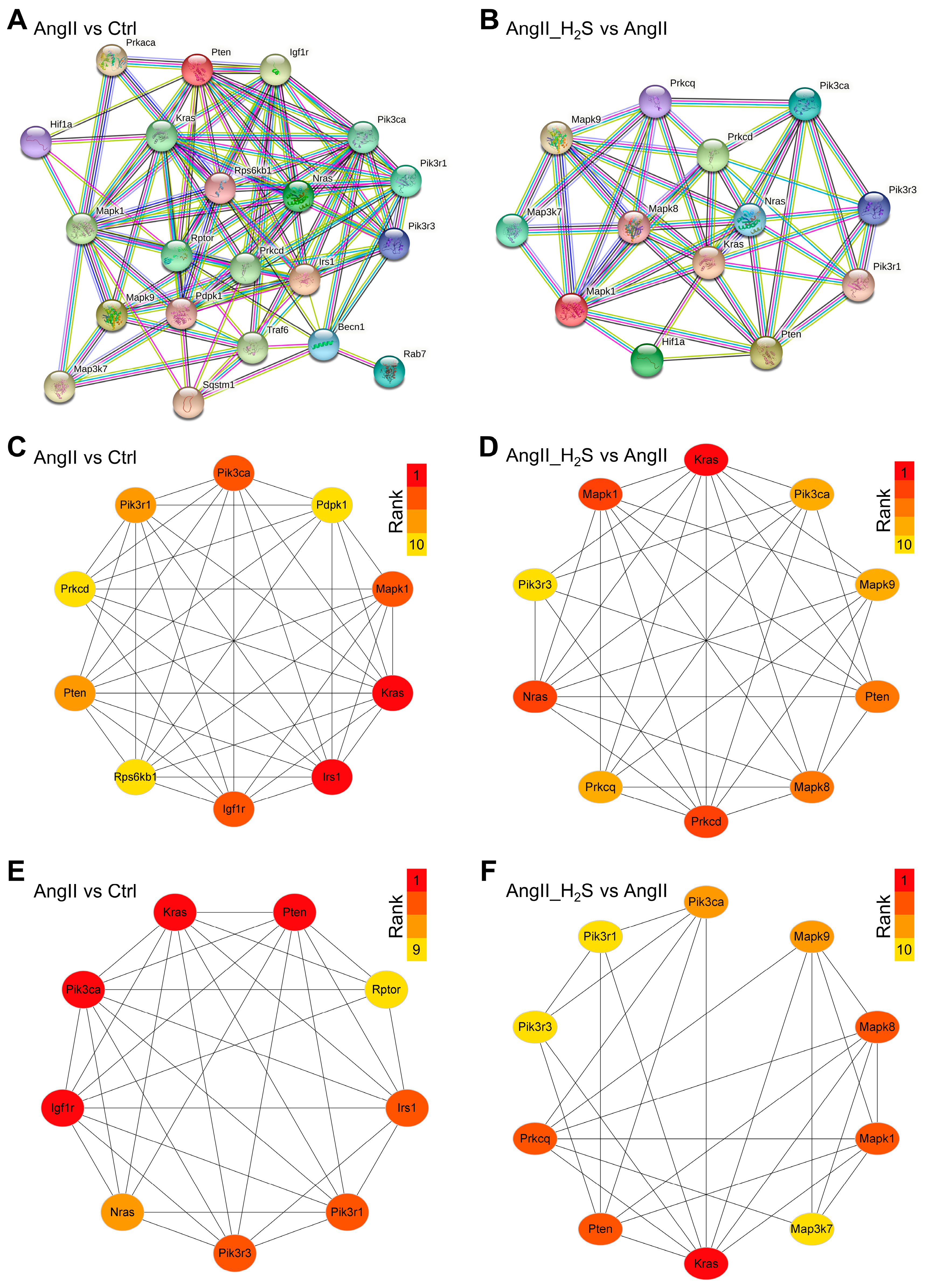 Antioxidants 13 00958 g005