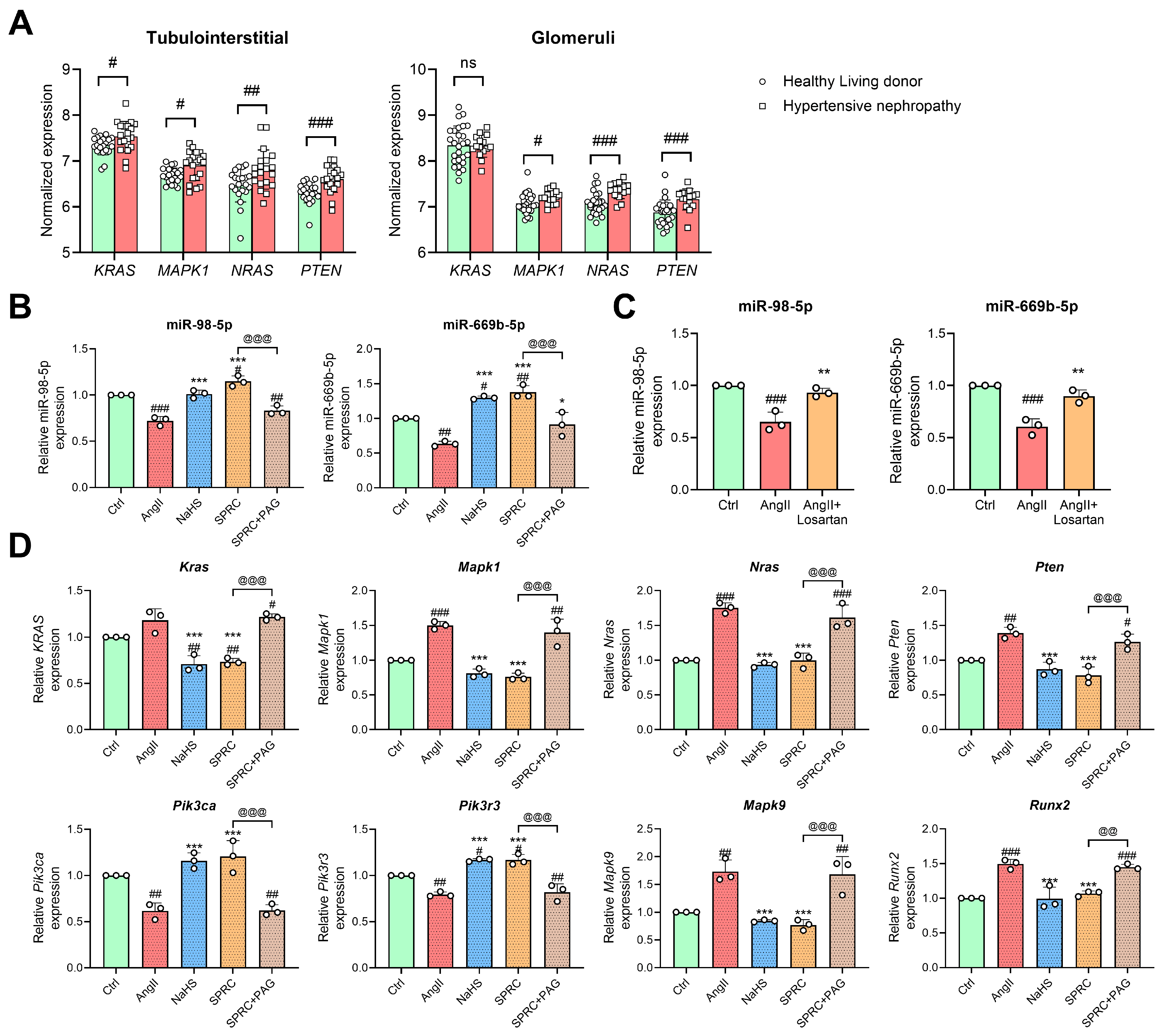 Antioxidants 13 00958 g008