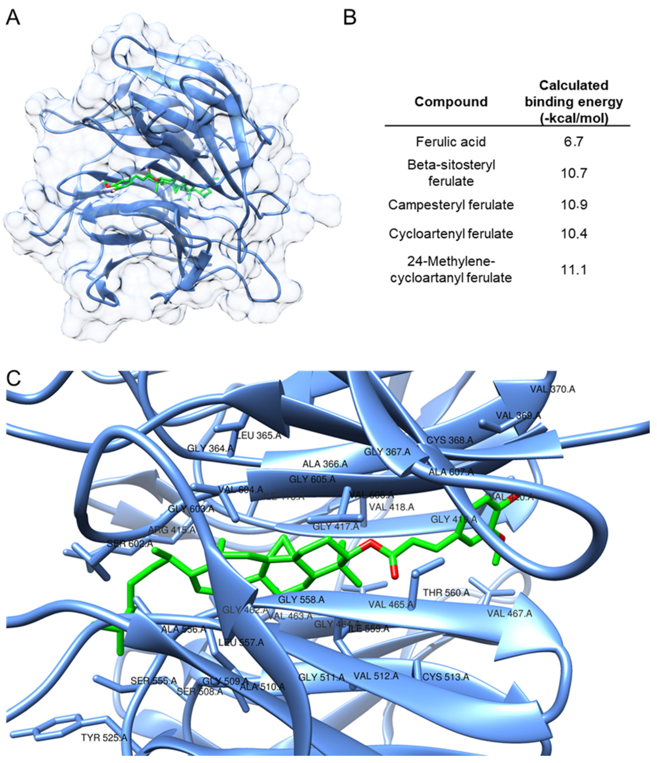 Antioxidants 13 00969 g006