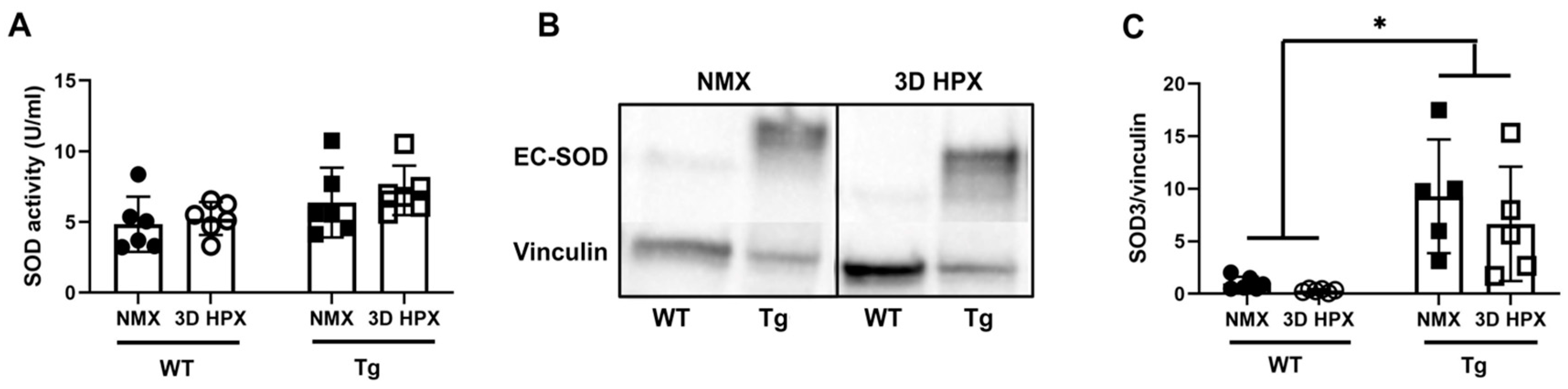 Antioxidants 13 00975 g003