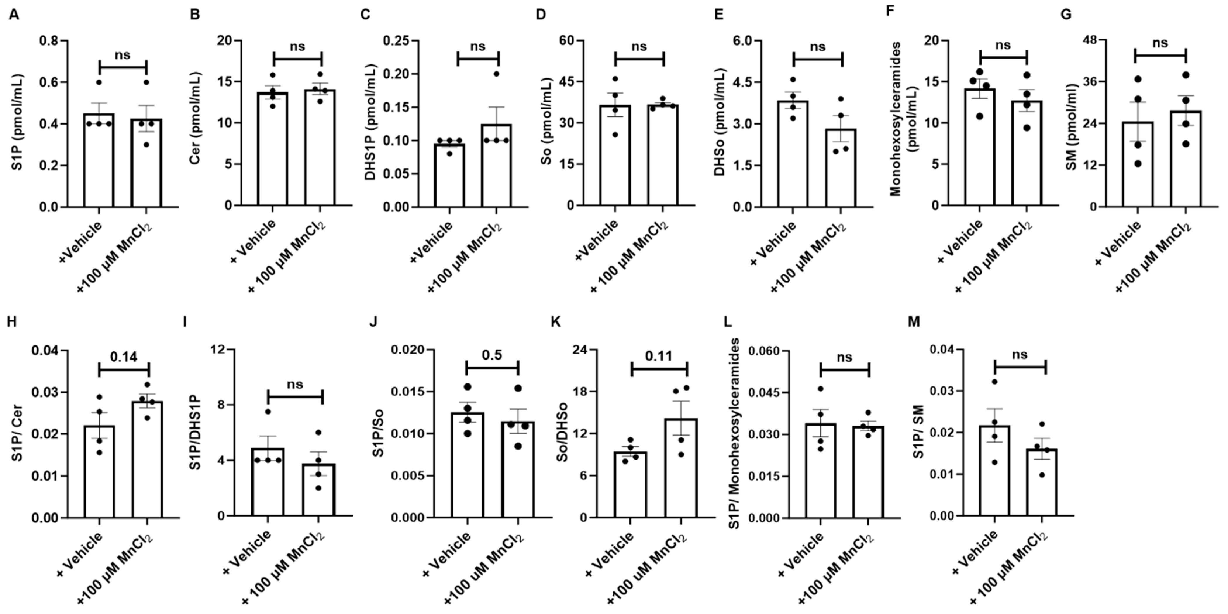Antioxidants 13 00978 g008