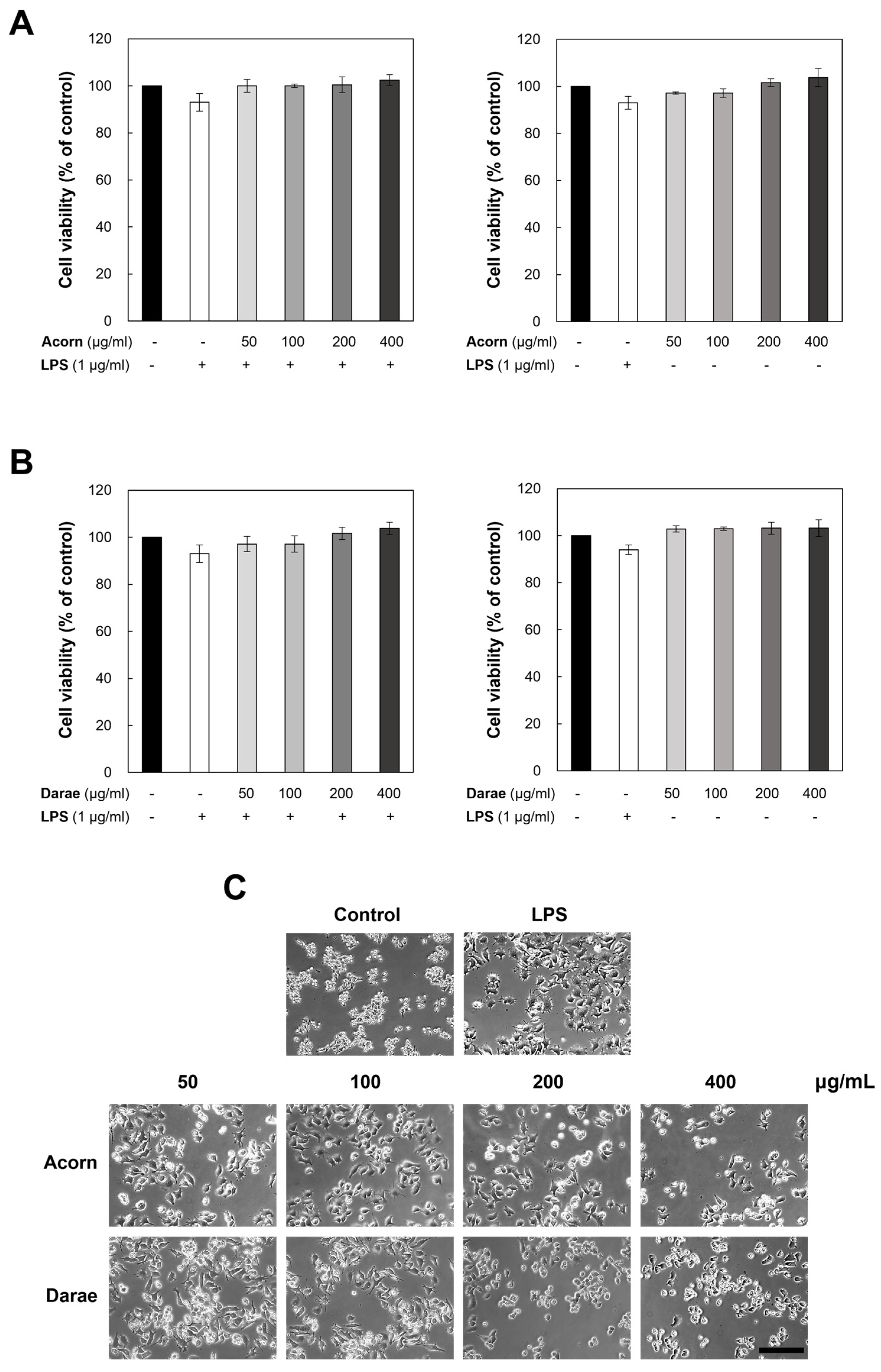 Antioxidants 13 00981 g001