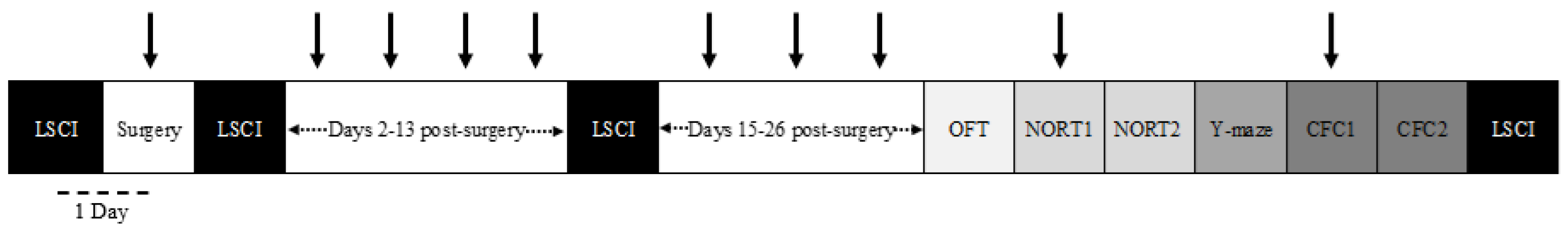 Antioxidants 13 00984 g001