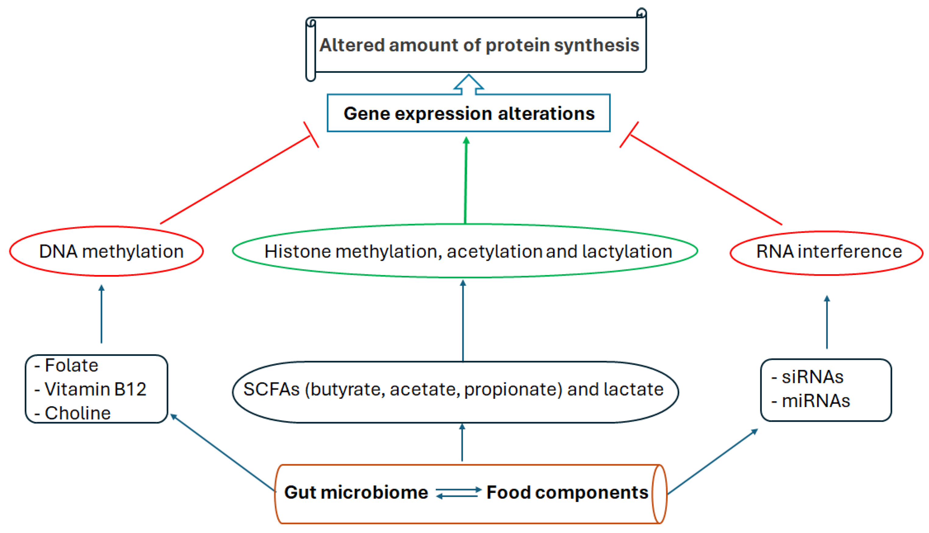 Antioxidants 13 00985 g002