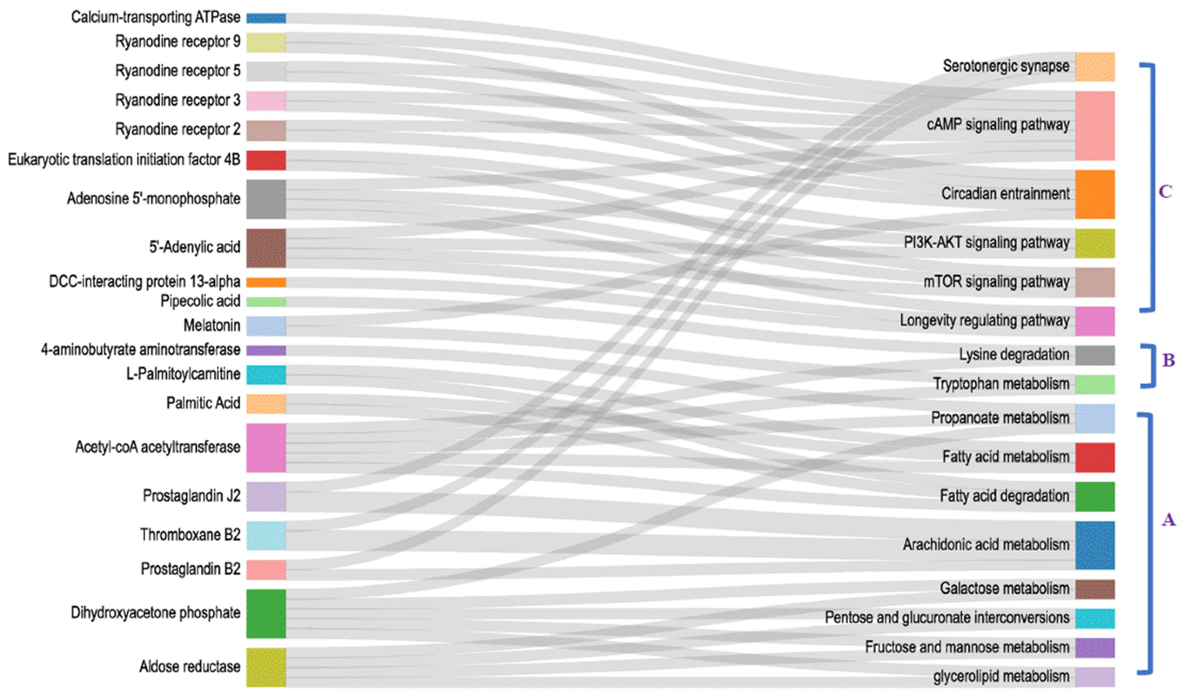 Antioxidants 13 00986 g004