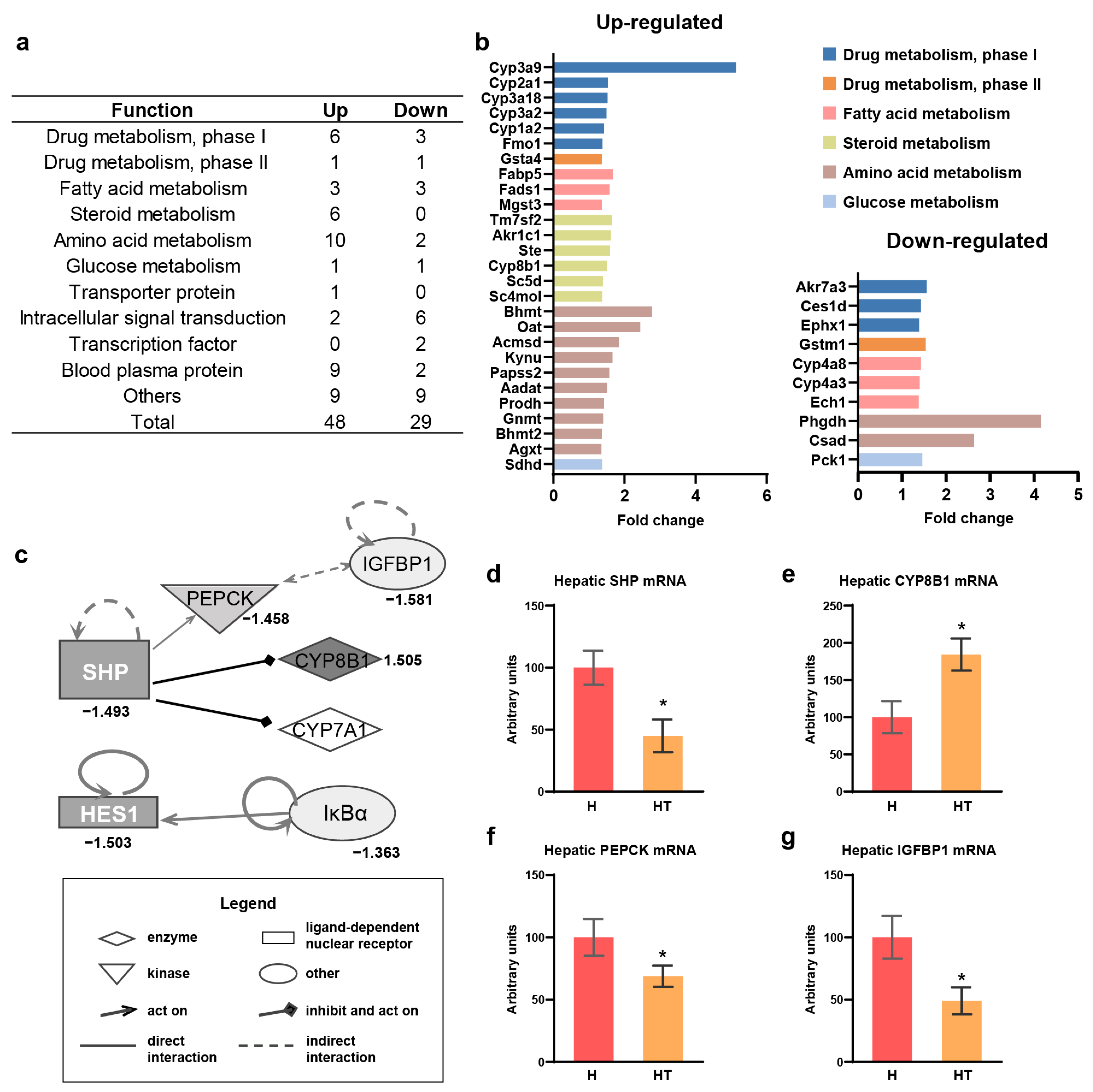 Antioxidants 13 00990 g003