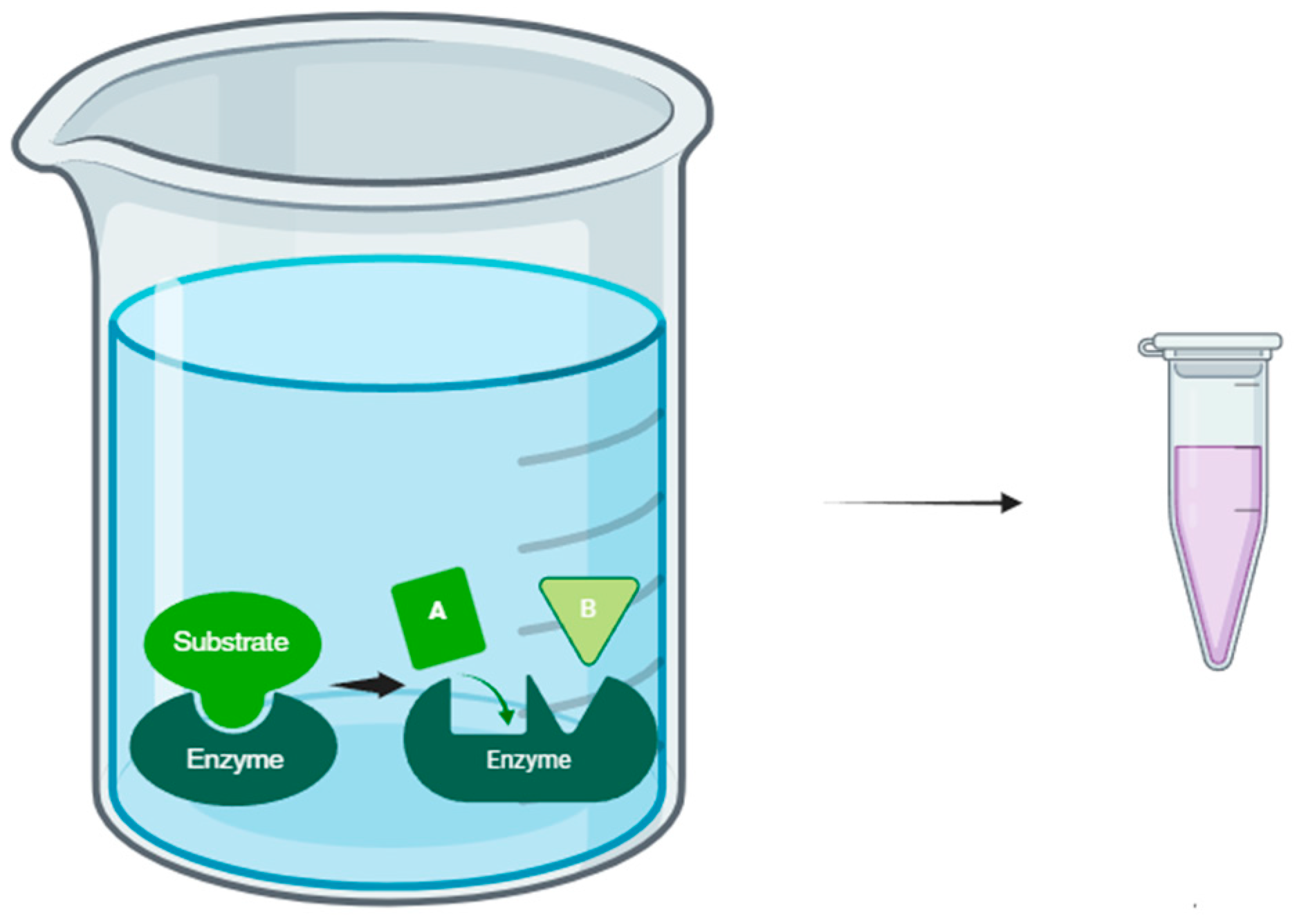 Antioxidants 13 00992 g004