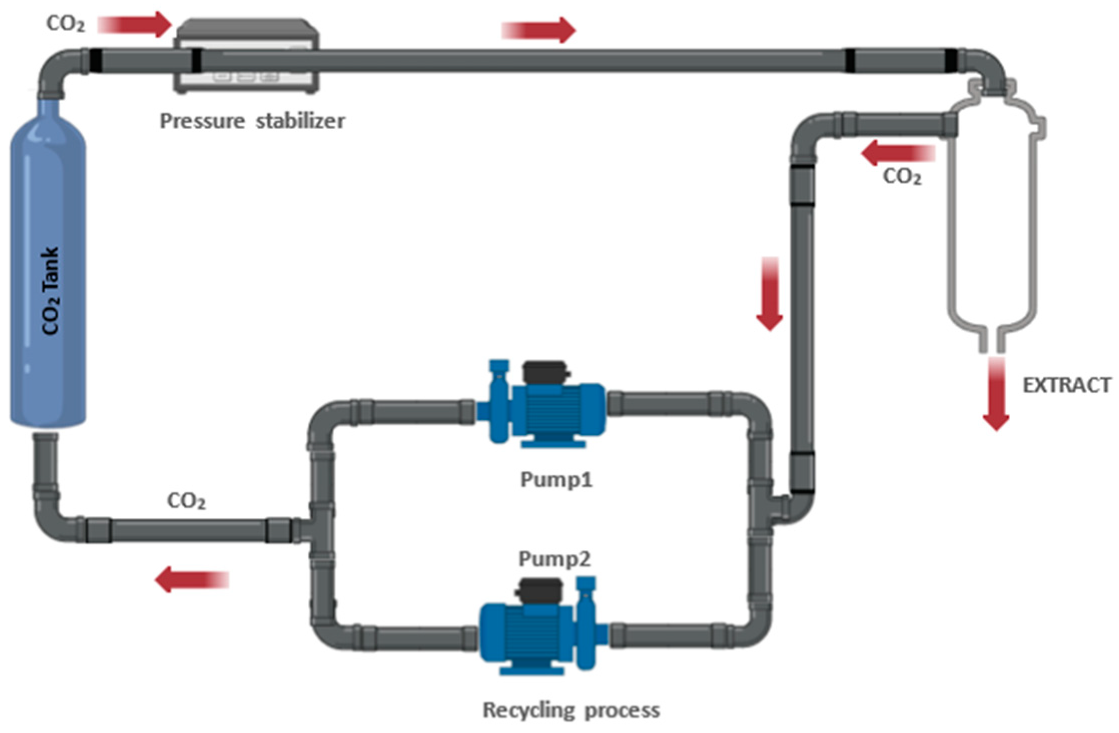 Antioxidants 13 00992 g006
