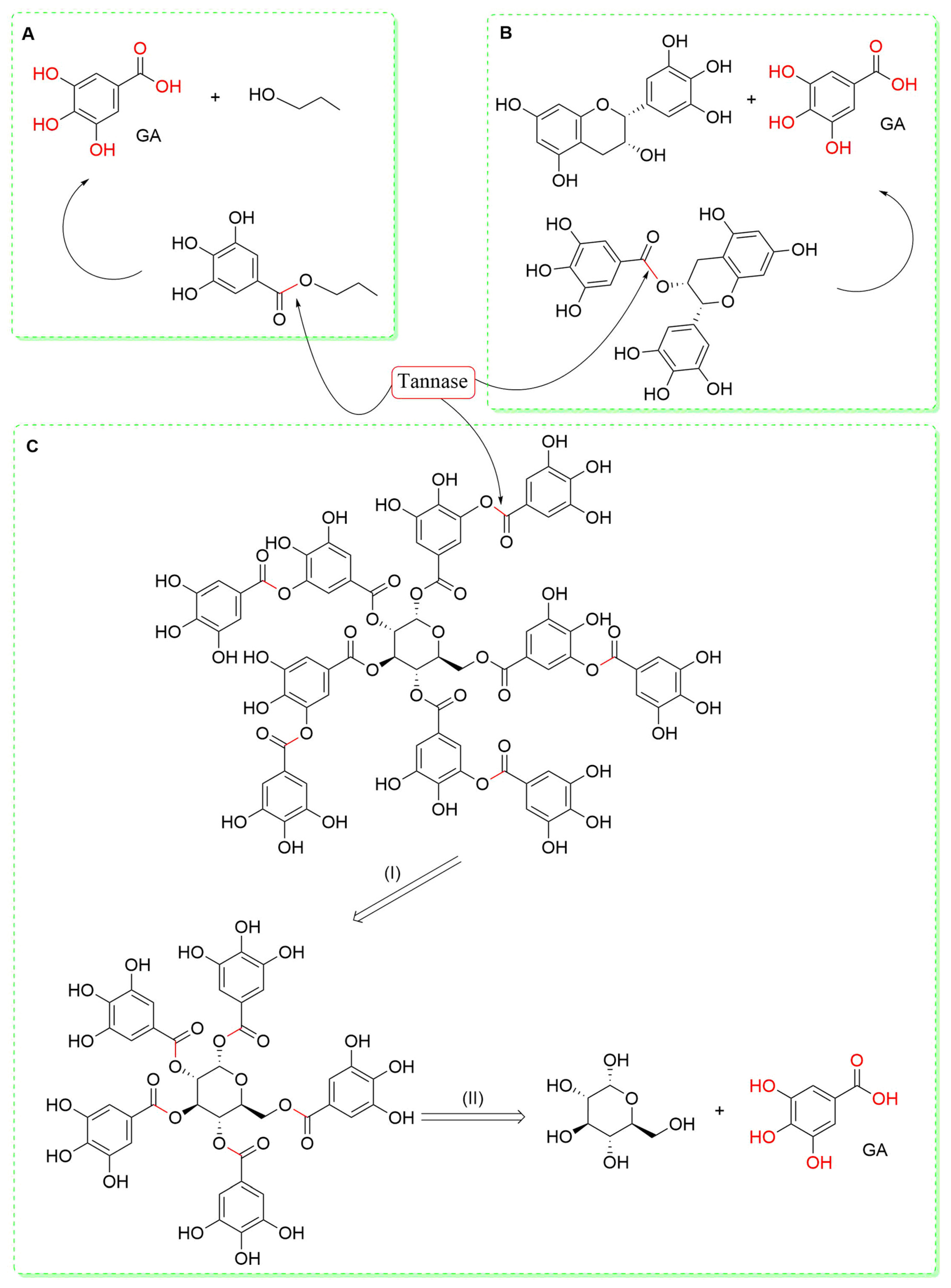 Antioxidants 13 01001 g002