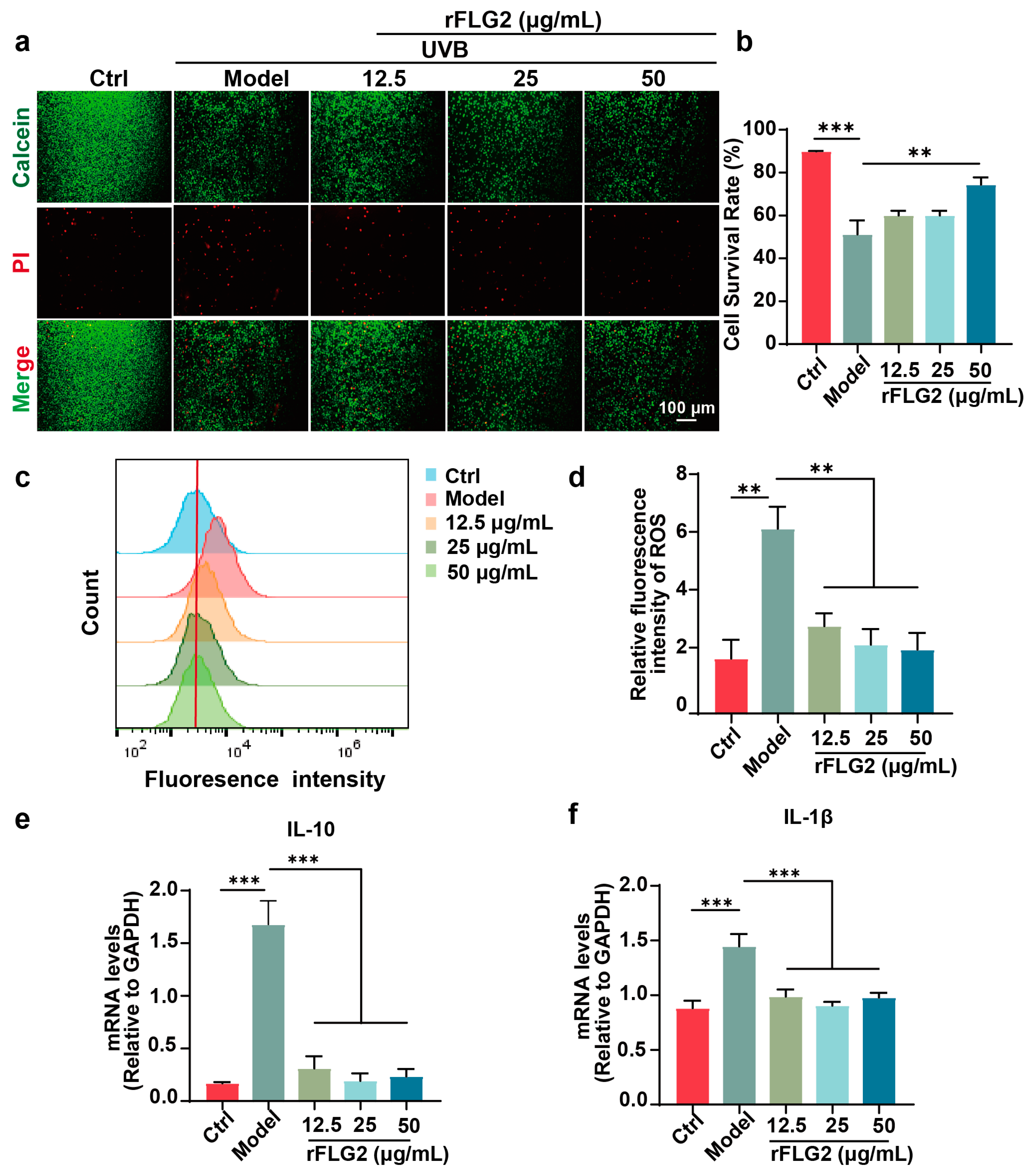 Antioxidants 13 01002 g004