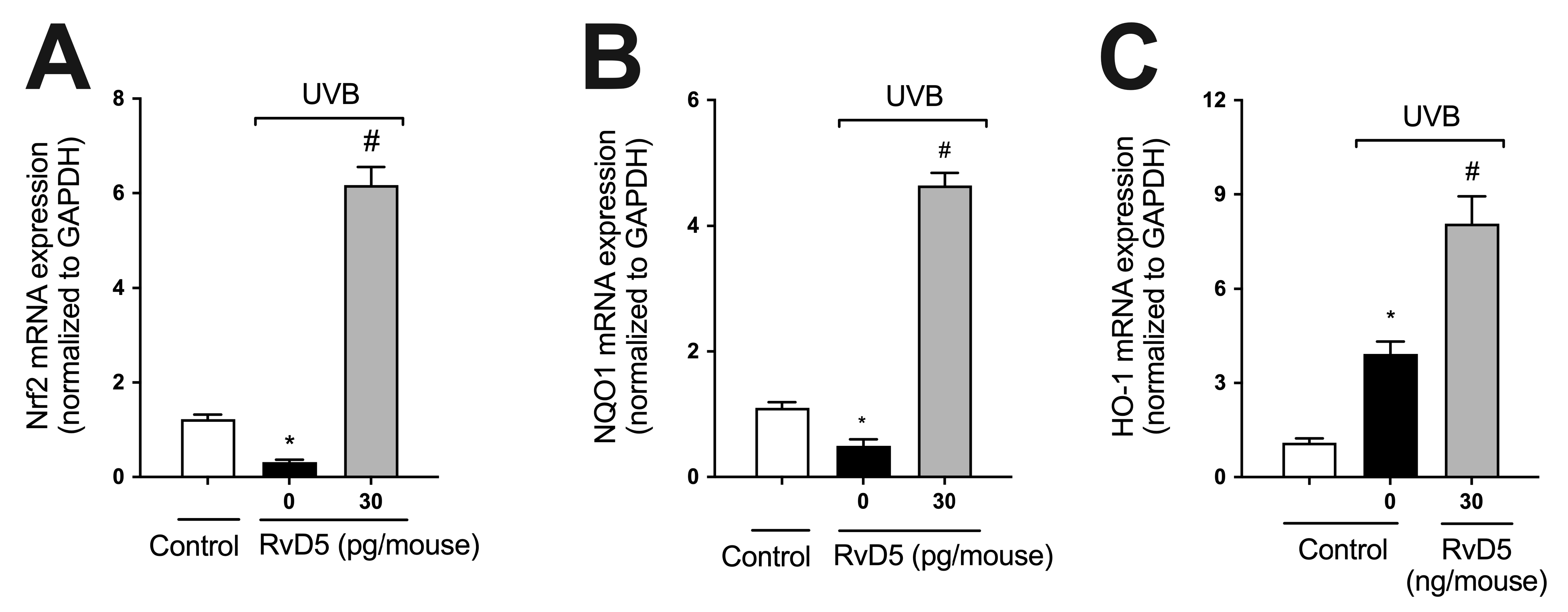 Antioxidants 13 01008 g004