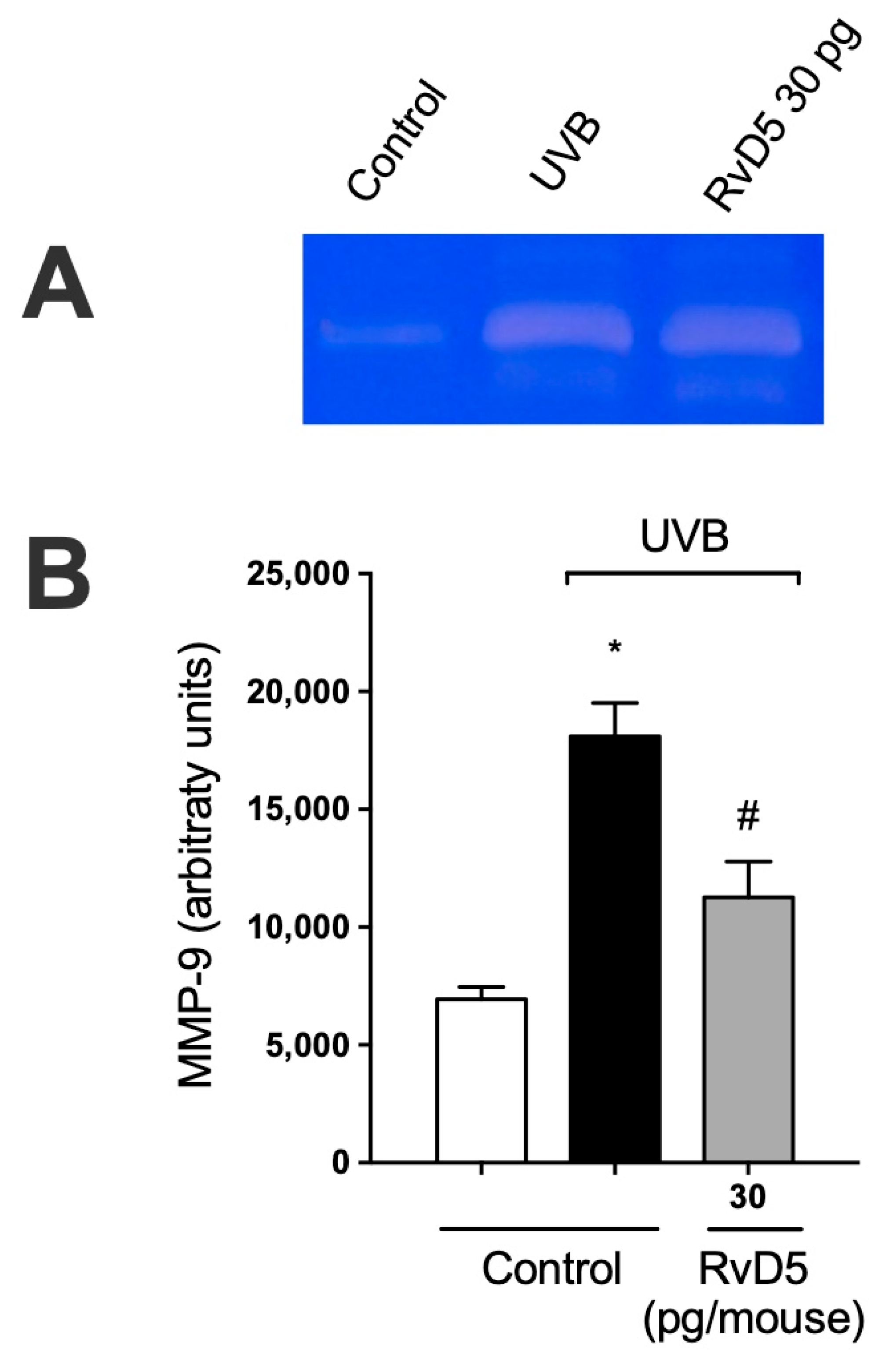 Antioxidants 13 01008 g008