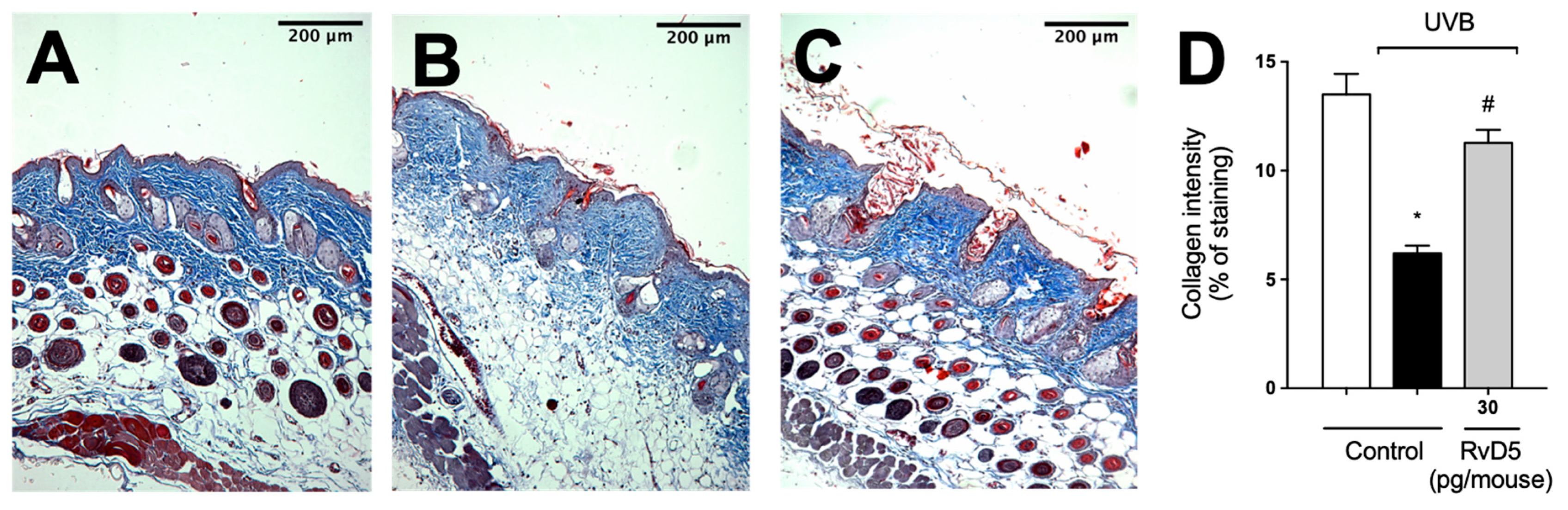 Antioxidants 13 01008 g009
