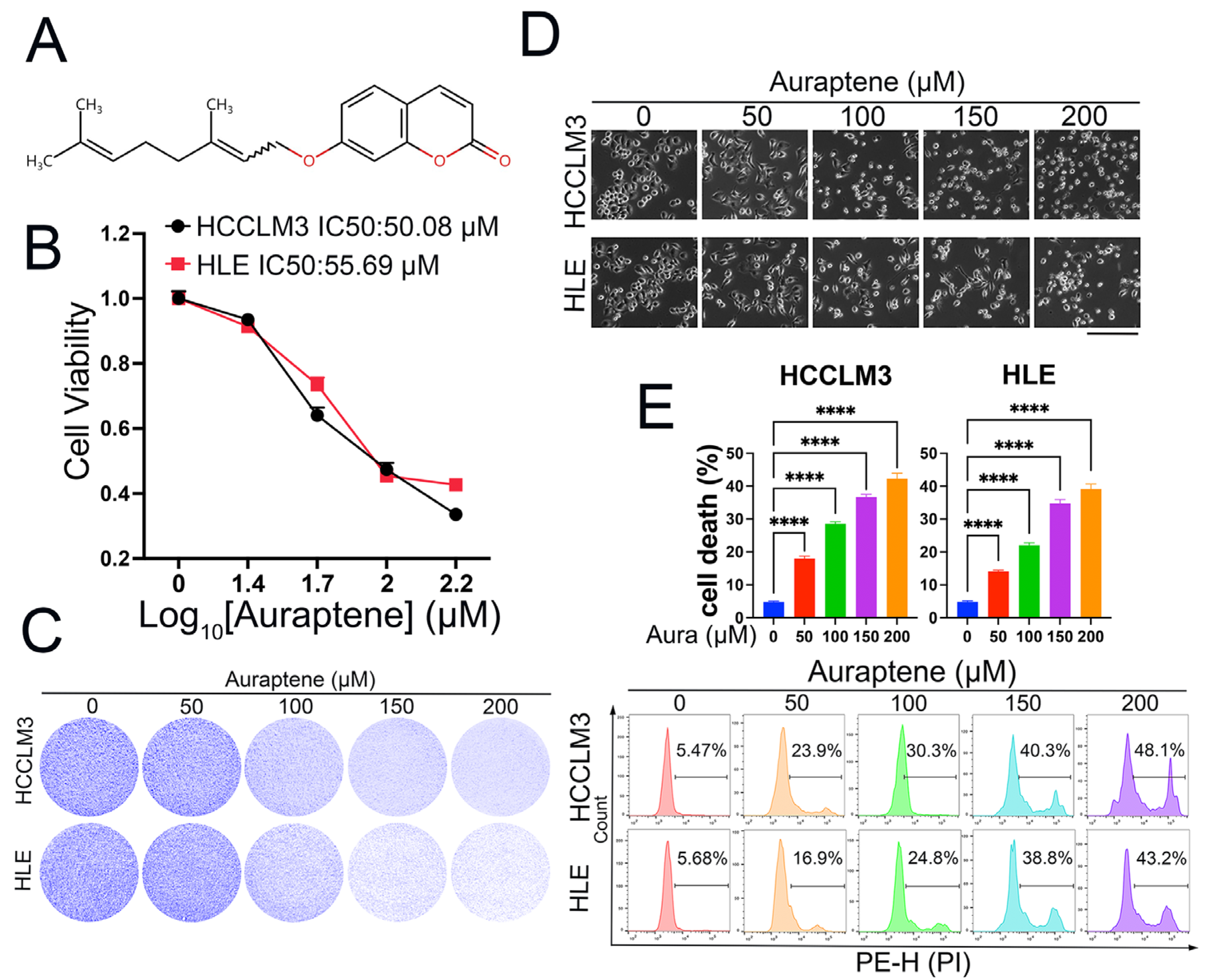Antioxidants 13 01015 g001