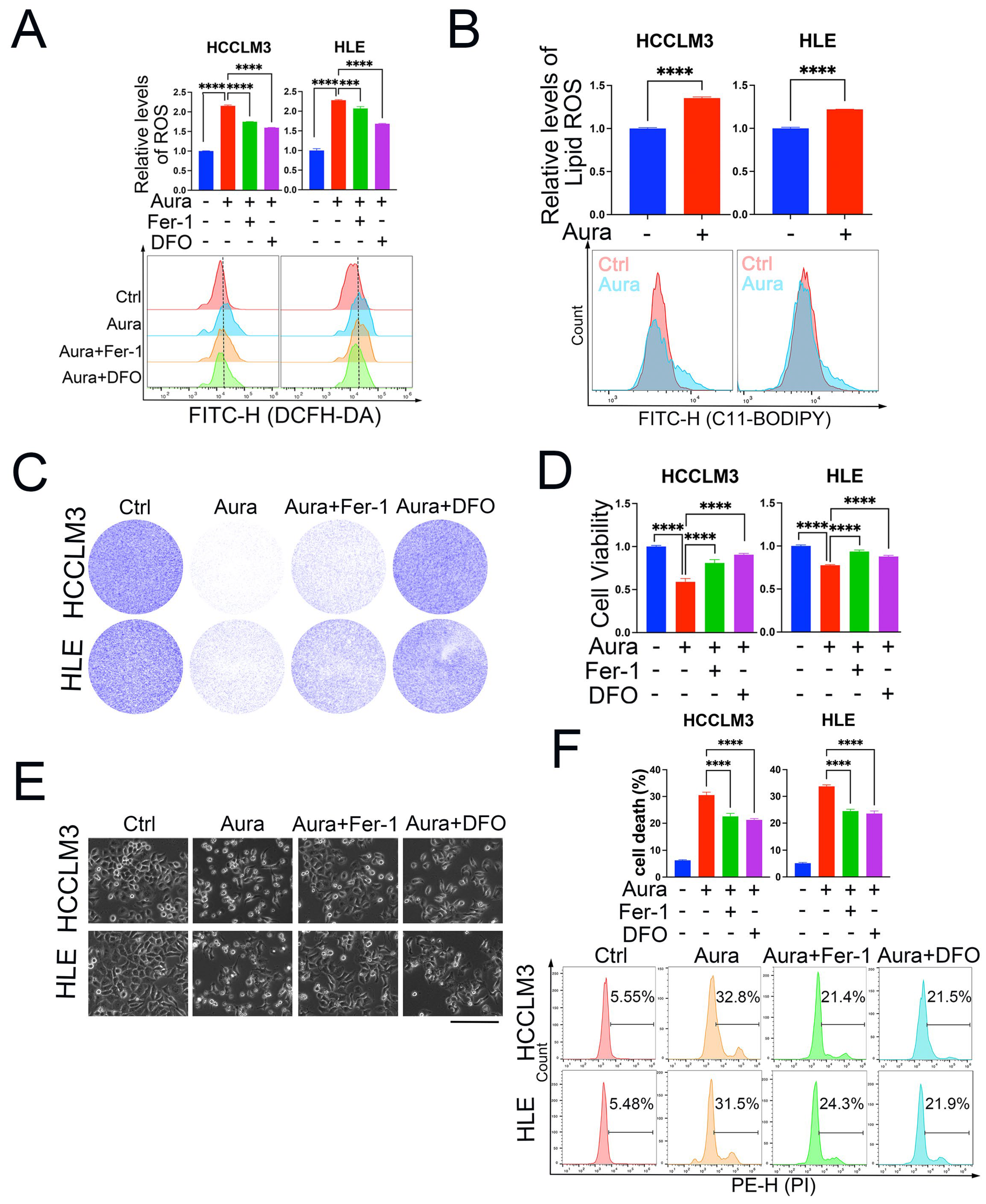 Antioxidants 13 01015 g003