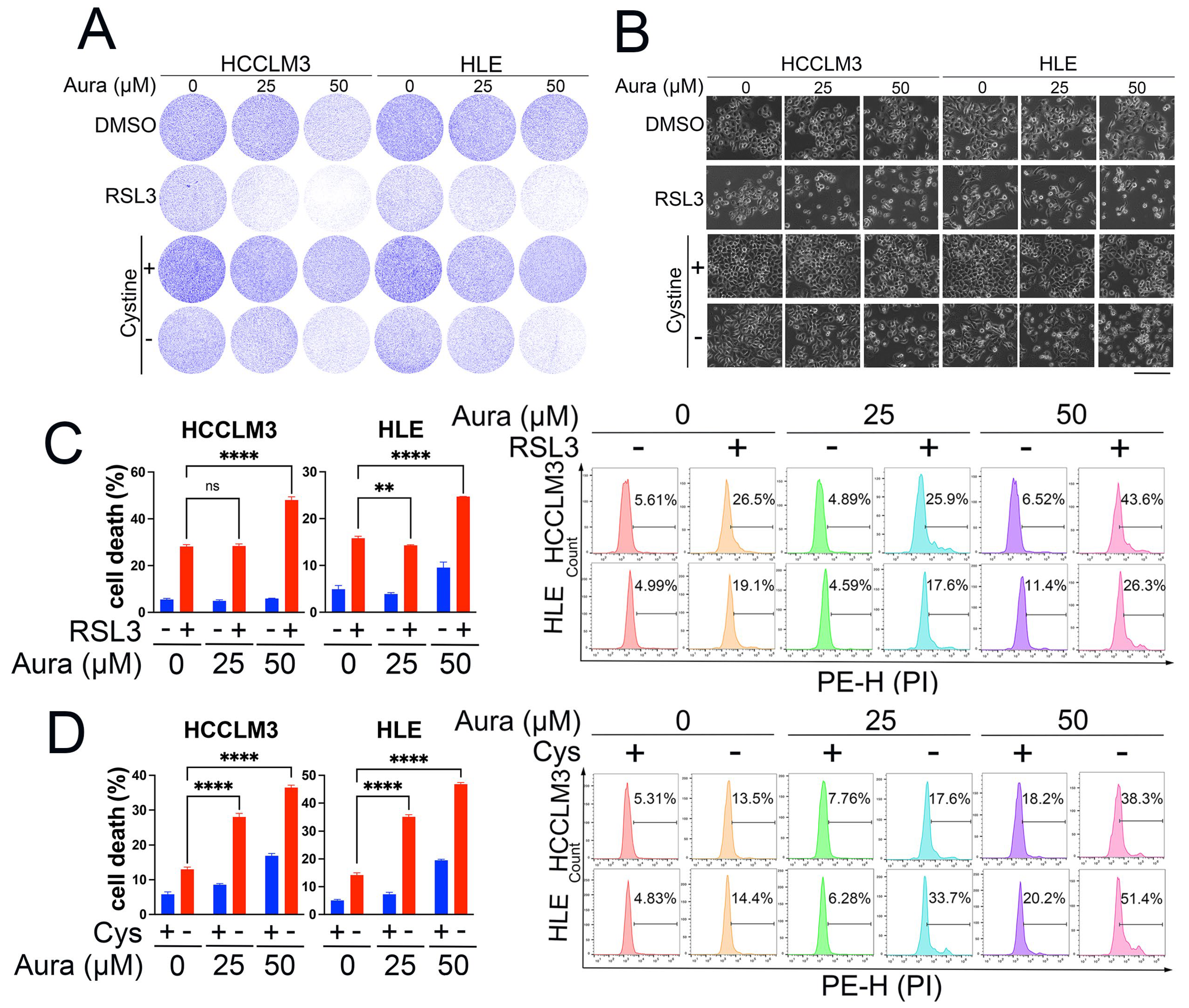 Antioxidants 13 01015 g004