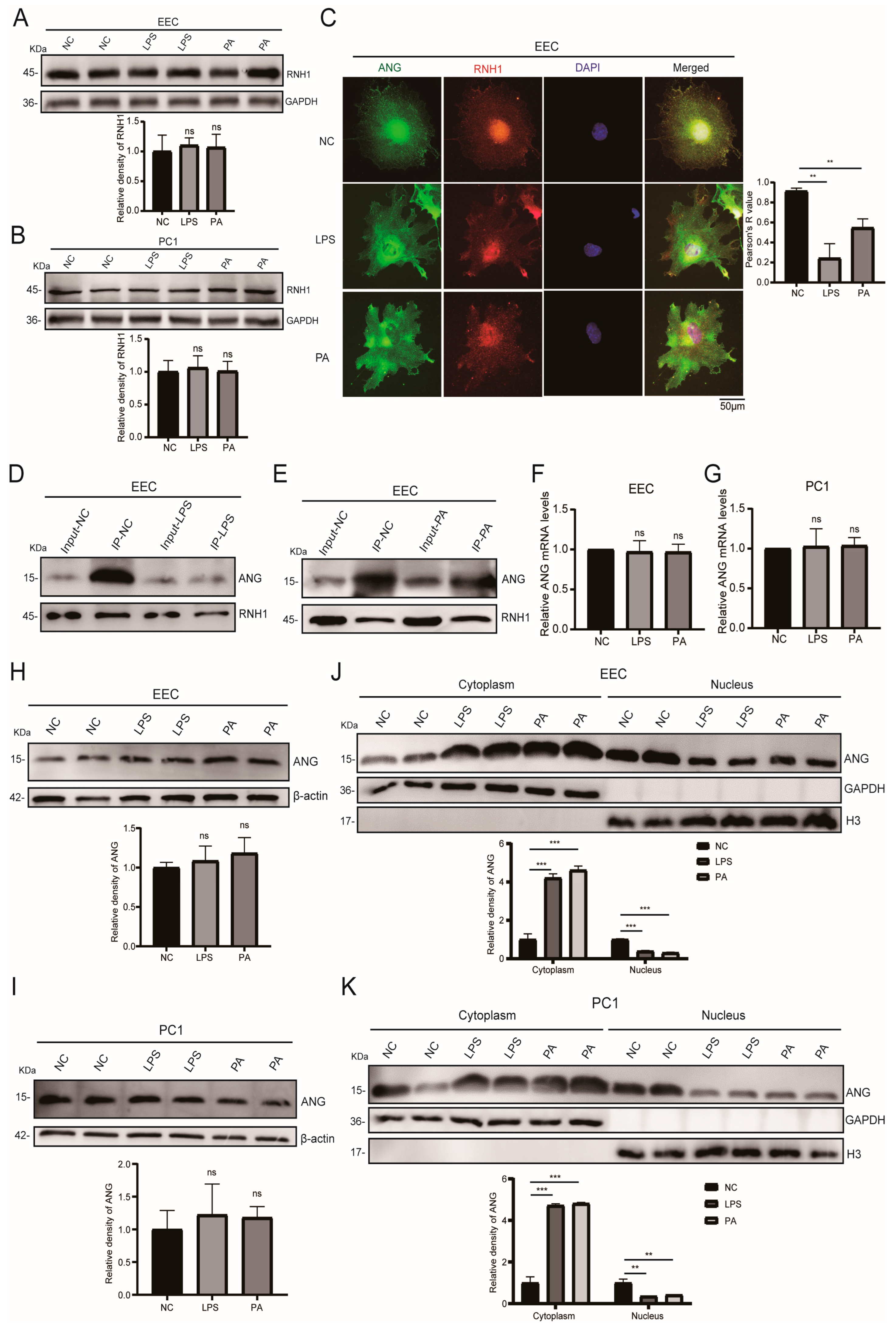 Antioxidants 13 01020 g004